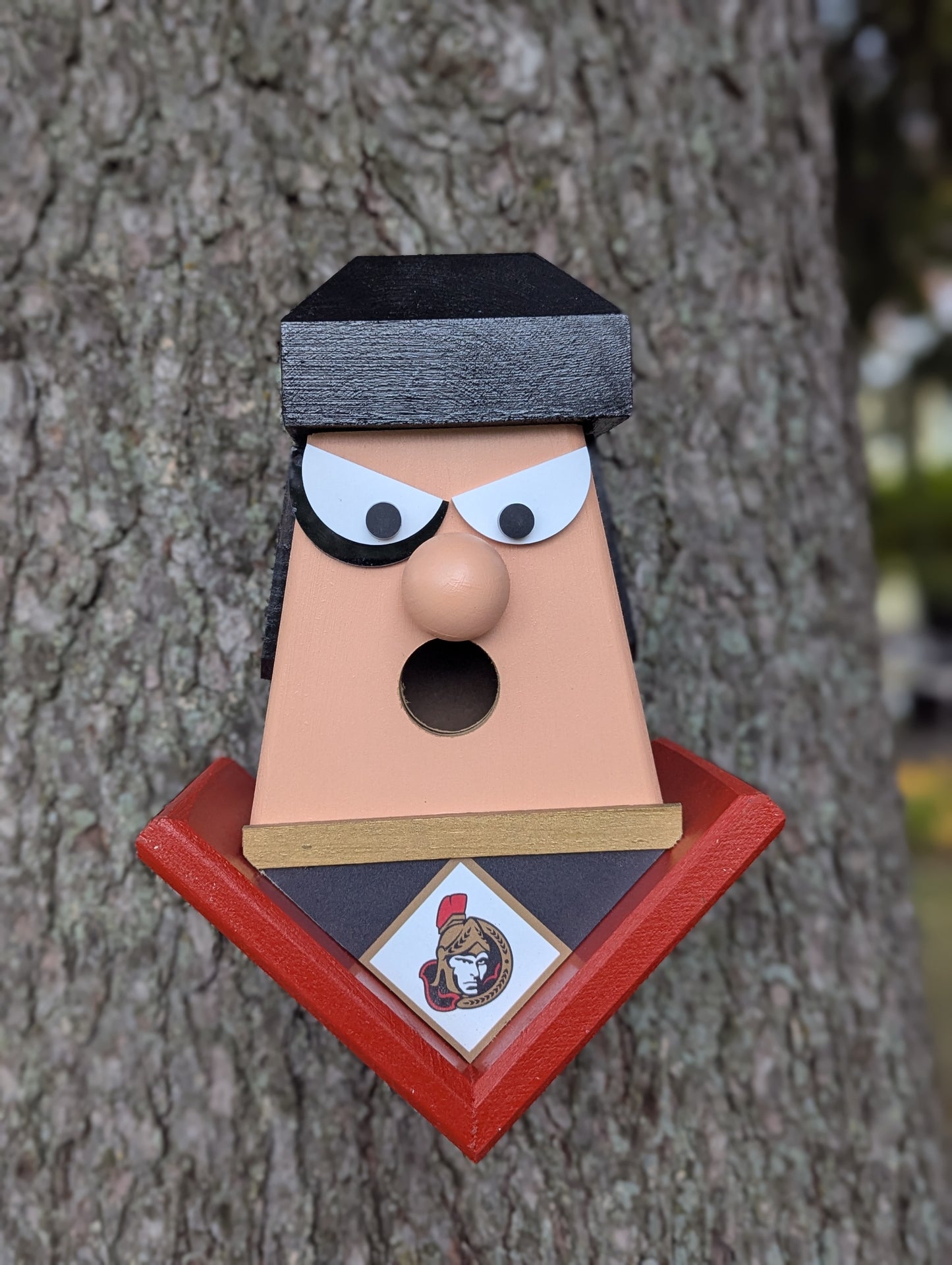 Ottawa Senators hockey player birdhouse.