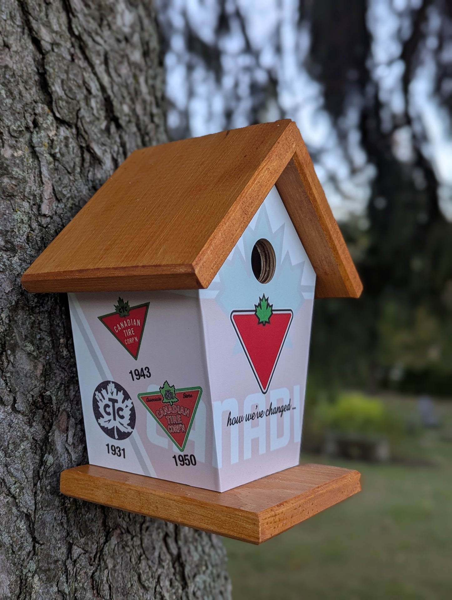 Canadian Tire over the years birdhouse