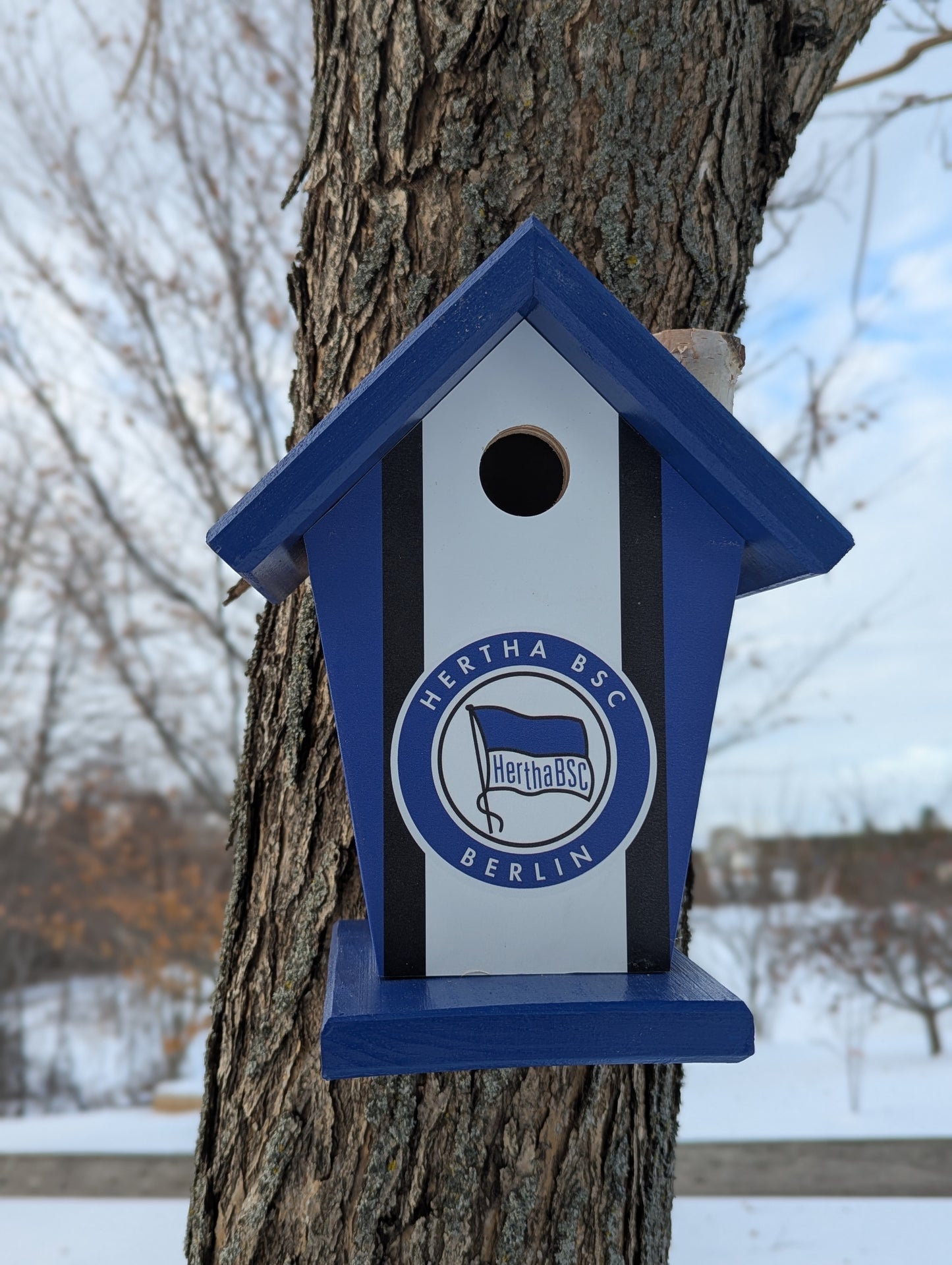 Hearth BSC Berlin Birdhouse