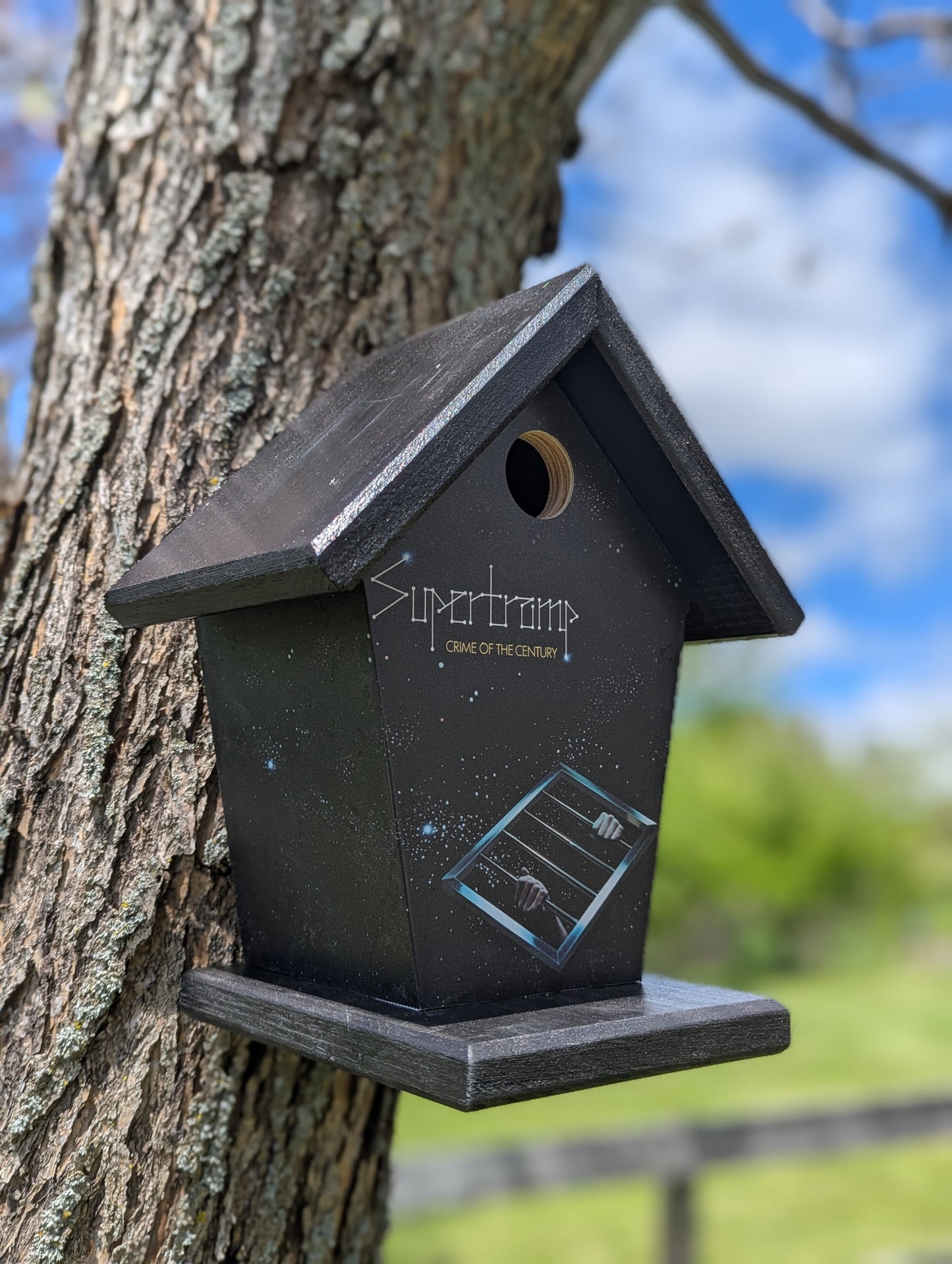 Supertramp crime of the century birdhouse