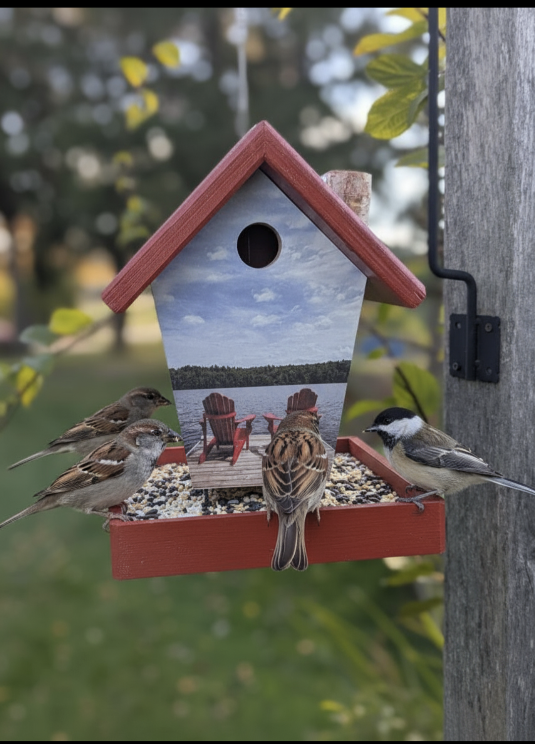 Cottage Life Bird Feeder