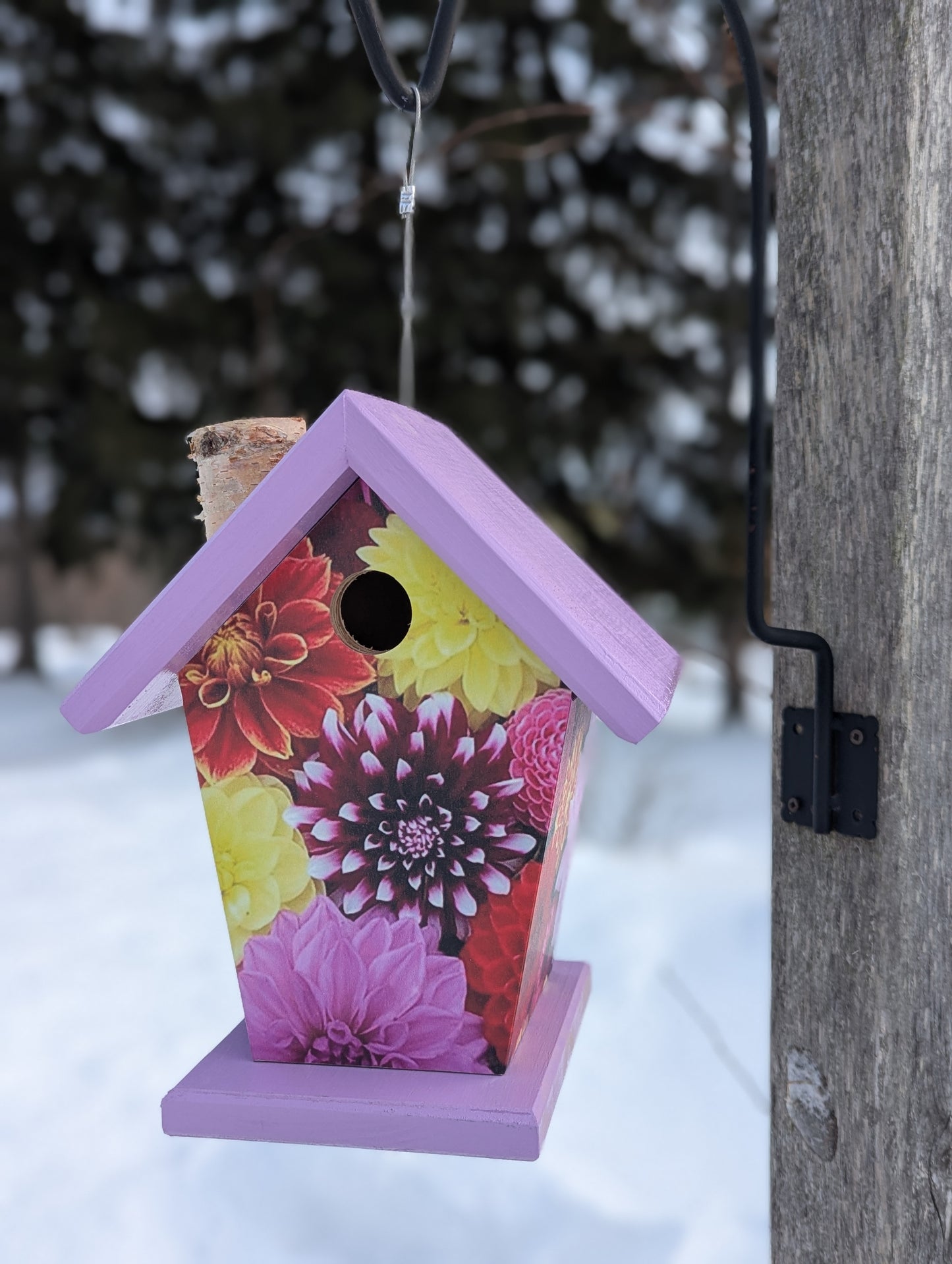 Dahlia birdhouse image on four-sides