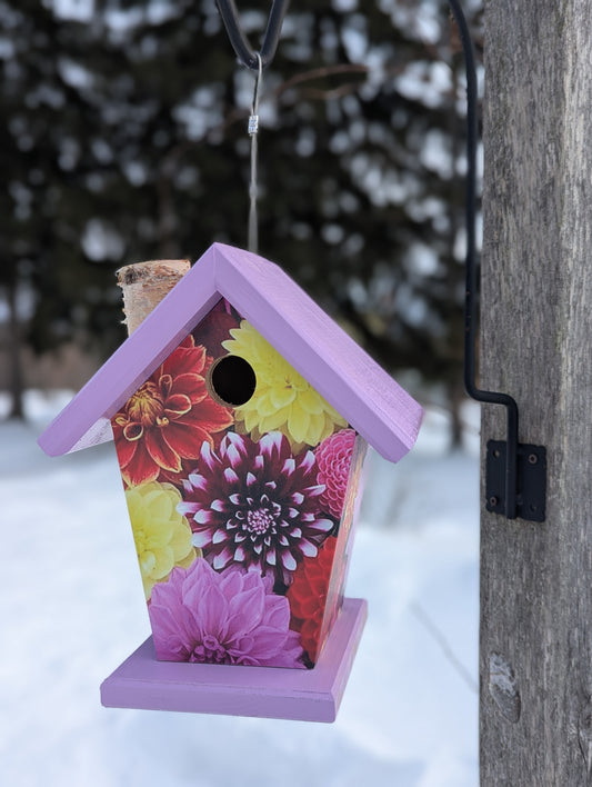 Dahlia Birdhouse/Feeder