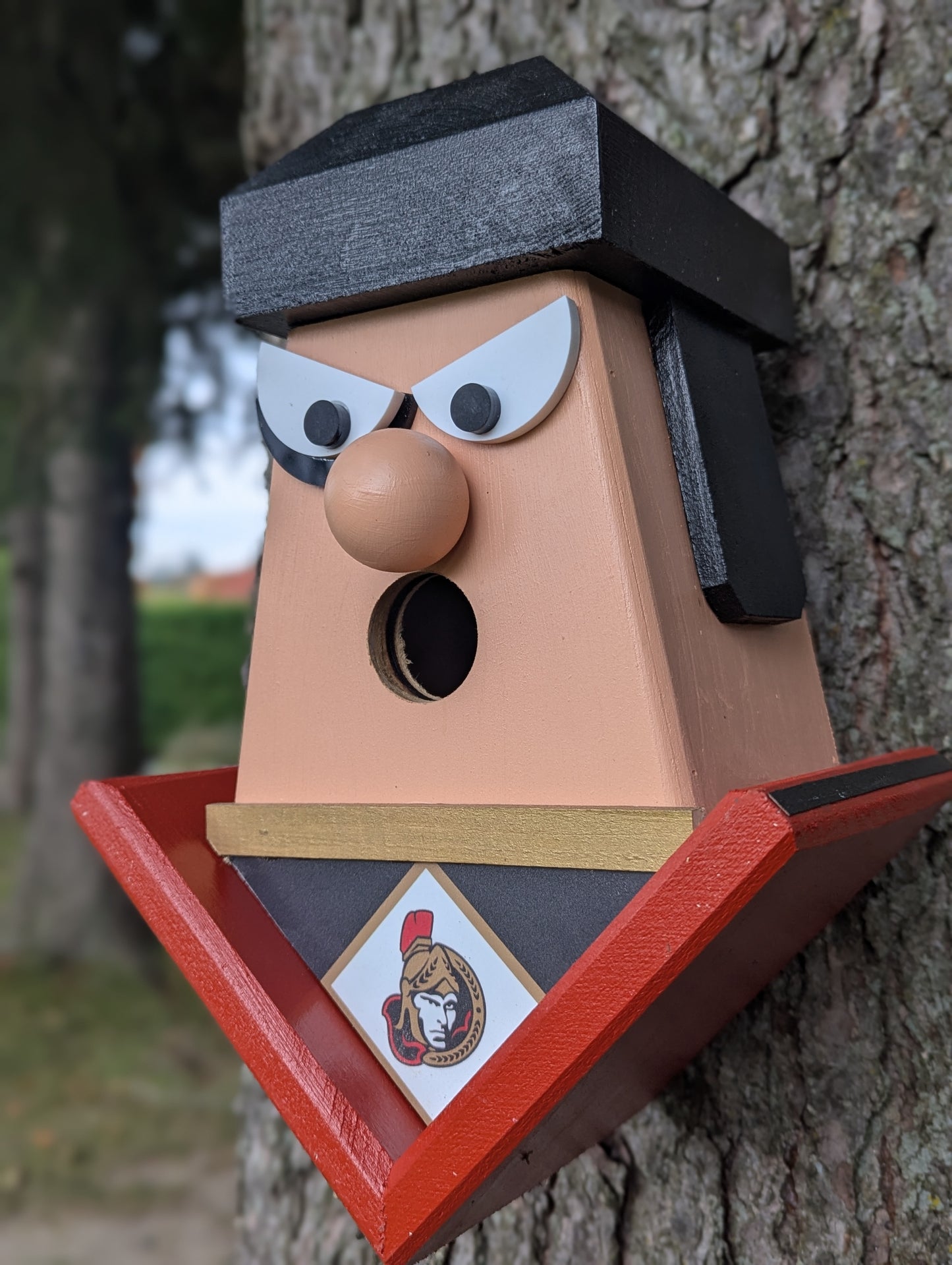 Ottawa Senators hockey player birdhouse.