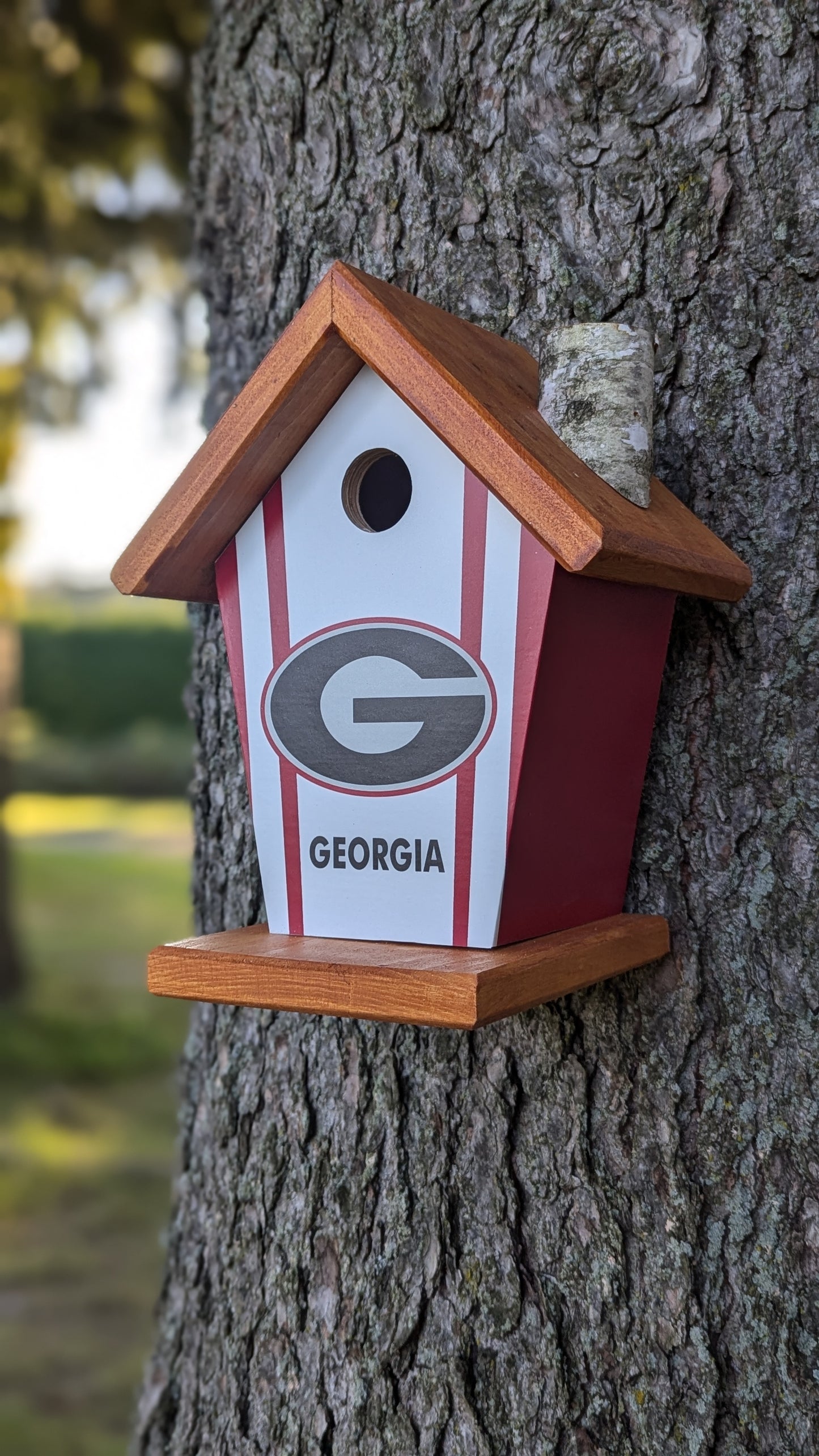 Georgia Bull Dogs