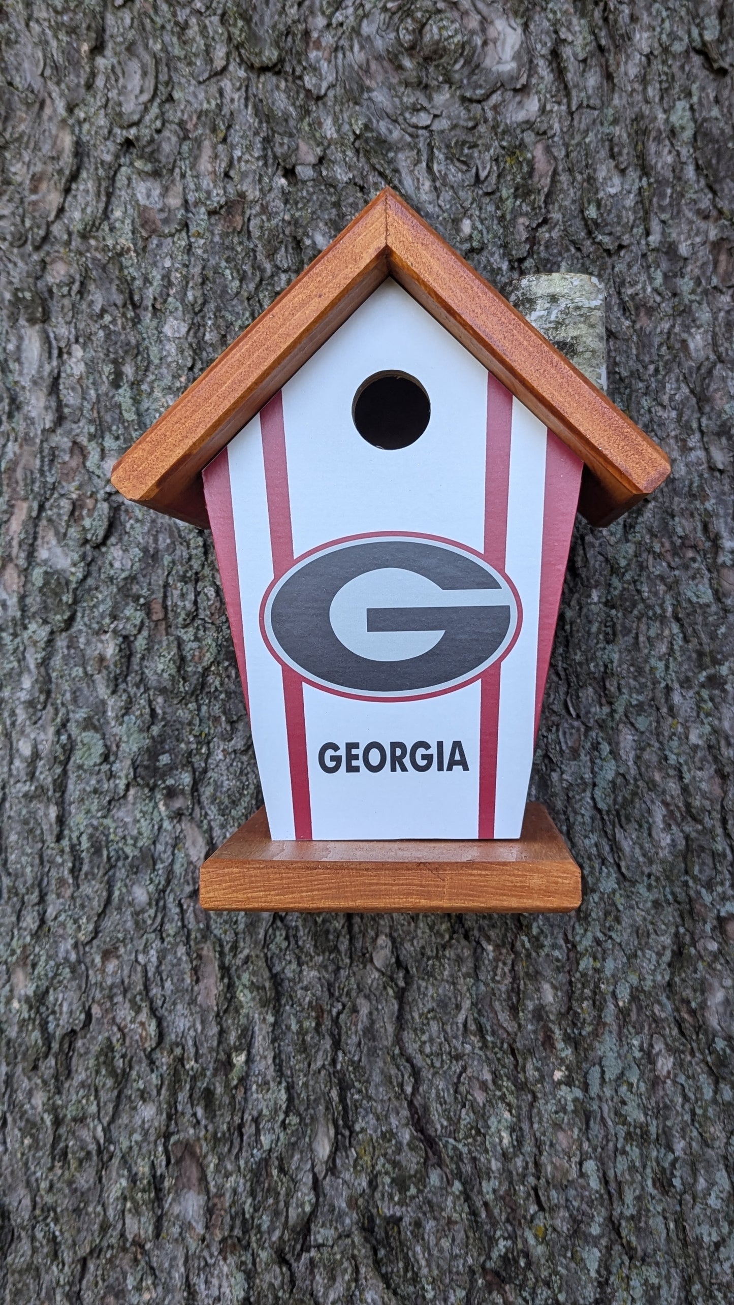 Georgia Bull Dogs
