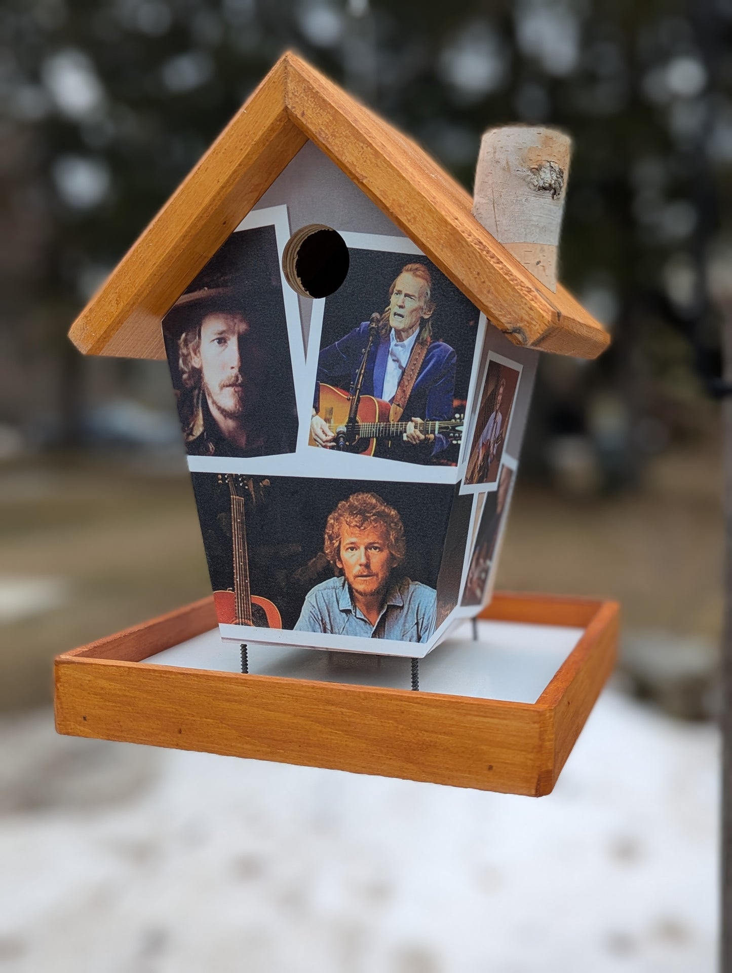 Gordon Lightfoot Bird Feeder Music