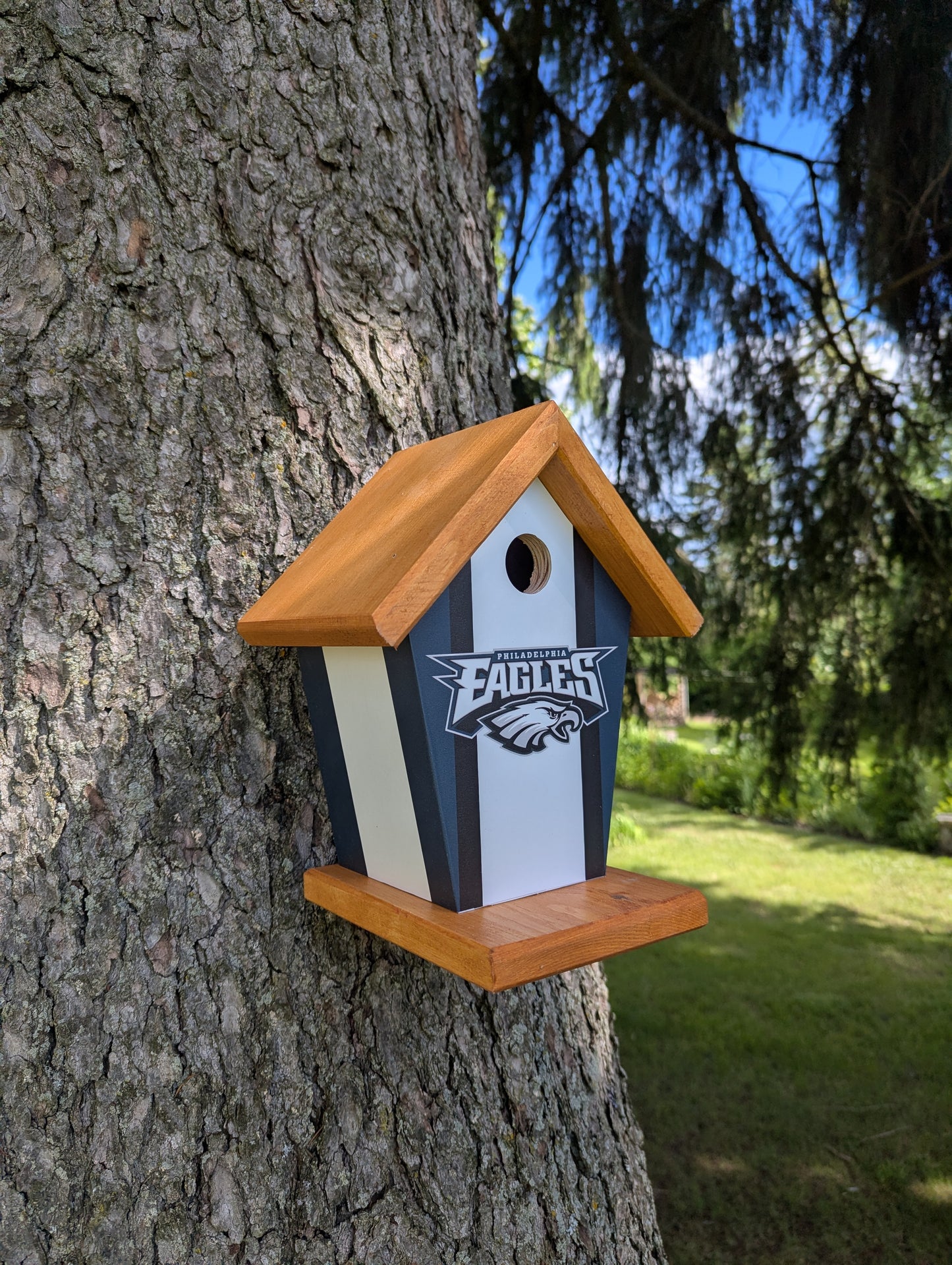 Philadelphia Eagles birdhouse