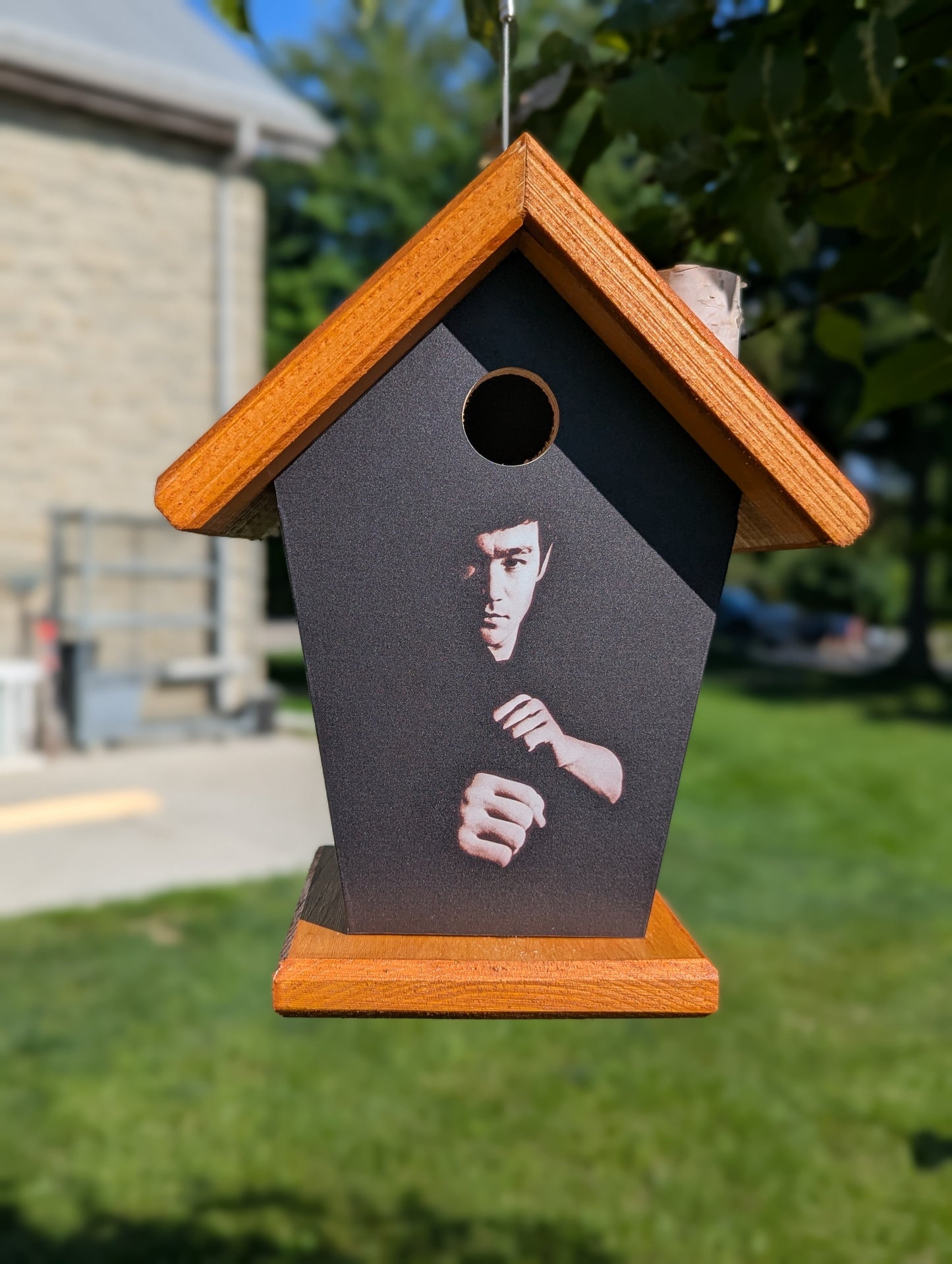 Bruce Lee Birdhouse