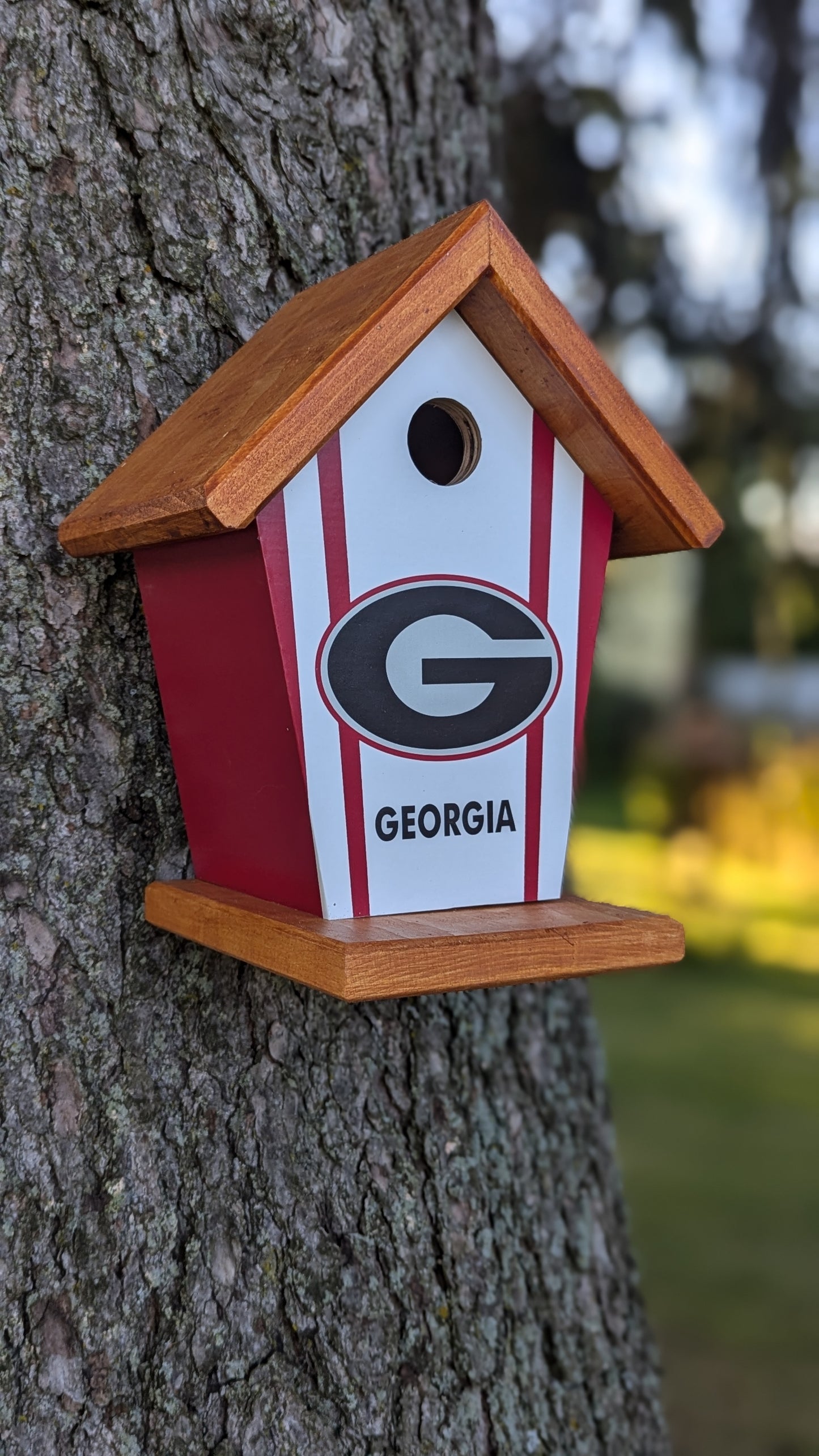 Georgia Bull Dogs