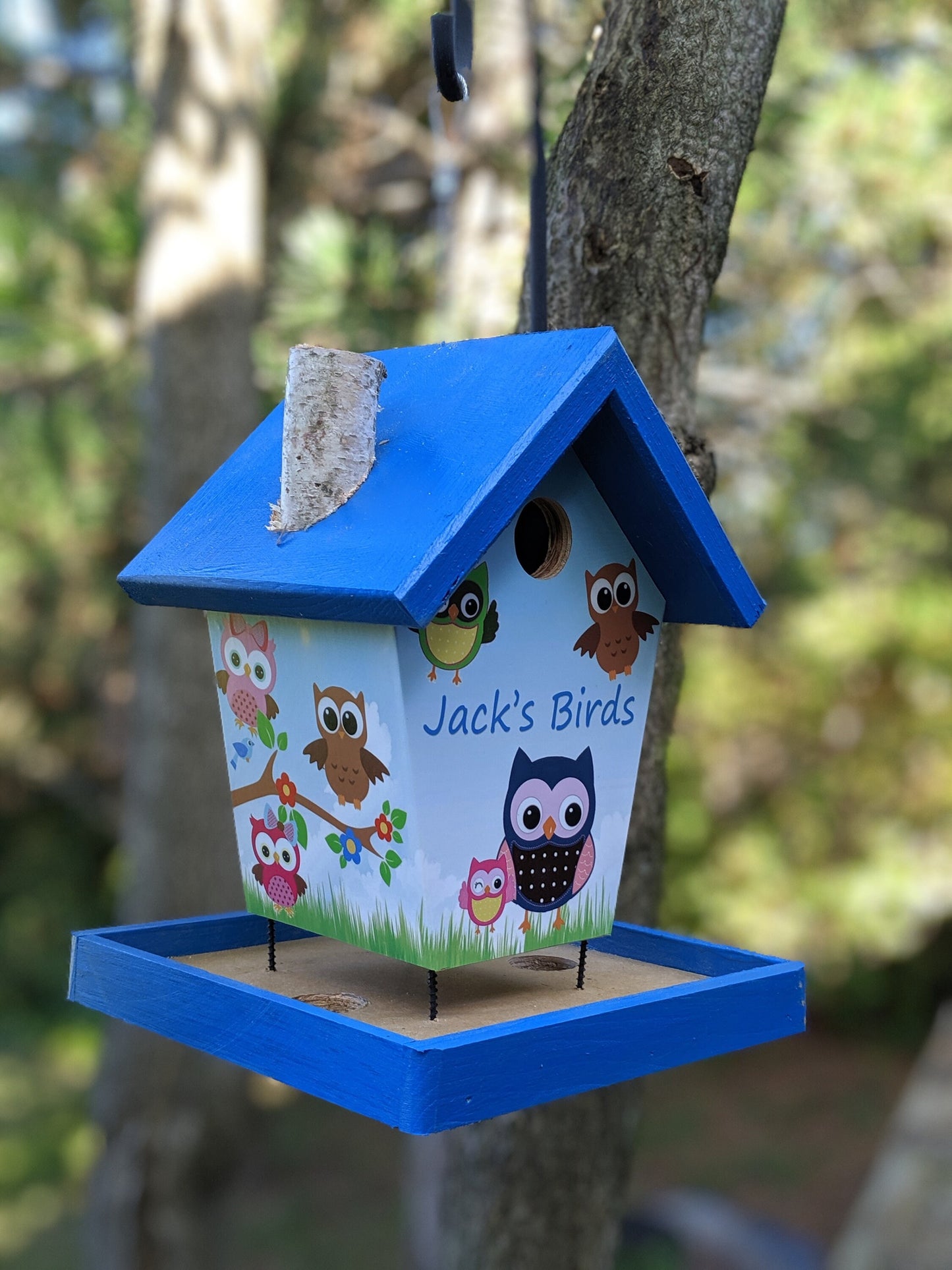 Jack's Personalized Bird Feeder/Birdhouse