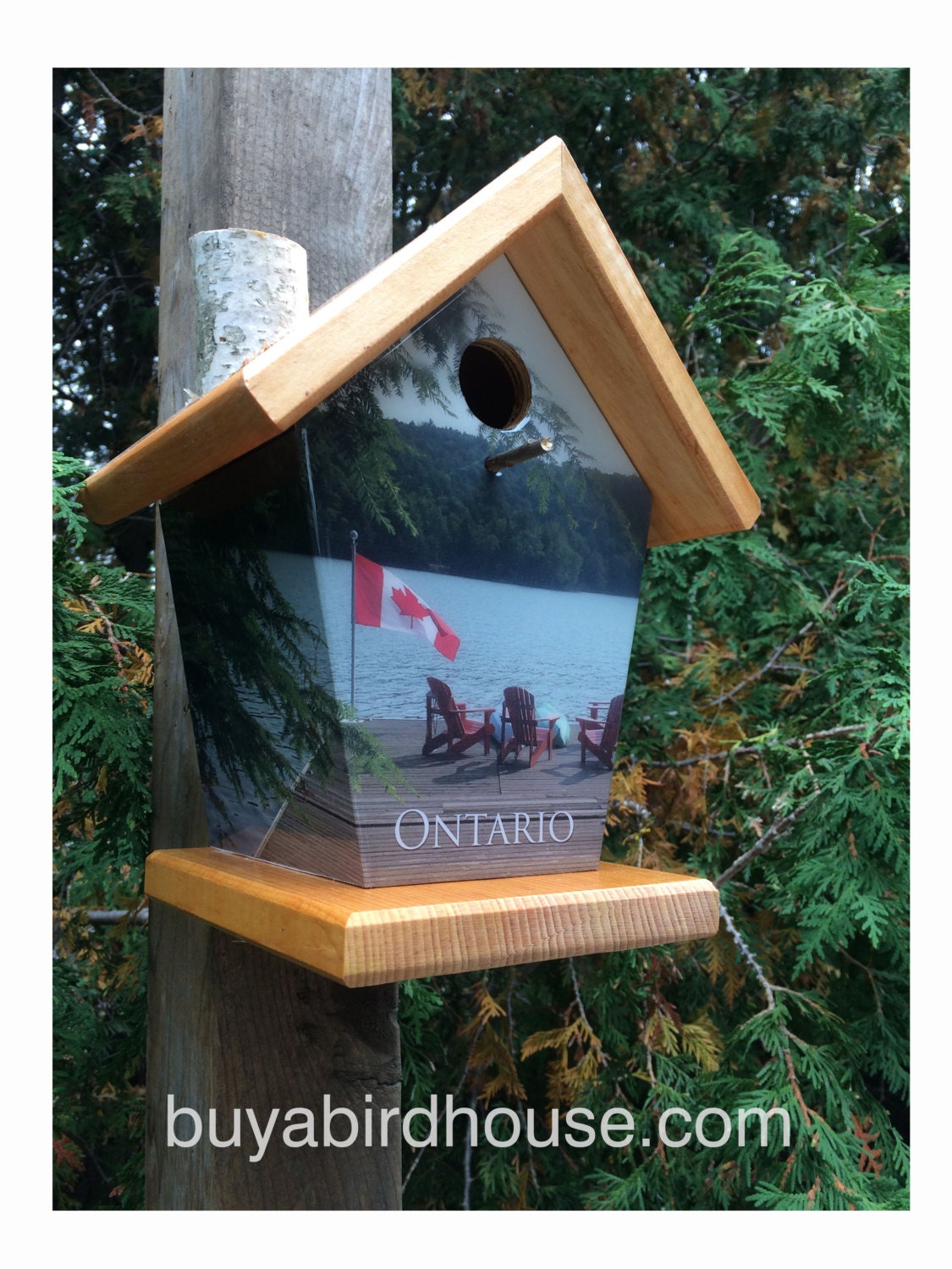 Ontario Birdhouse/Feeder