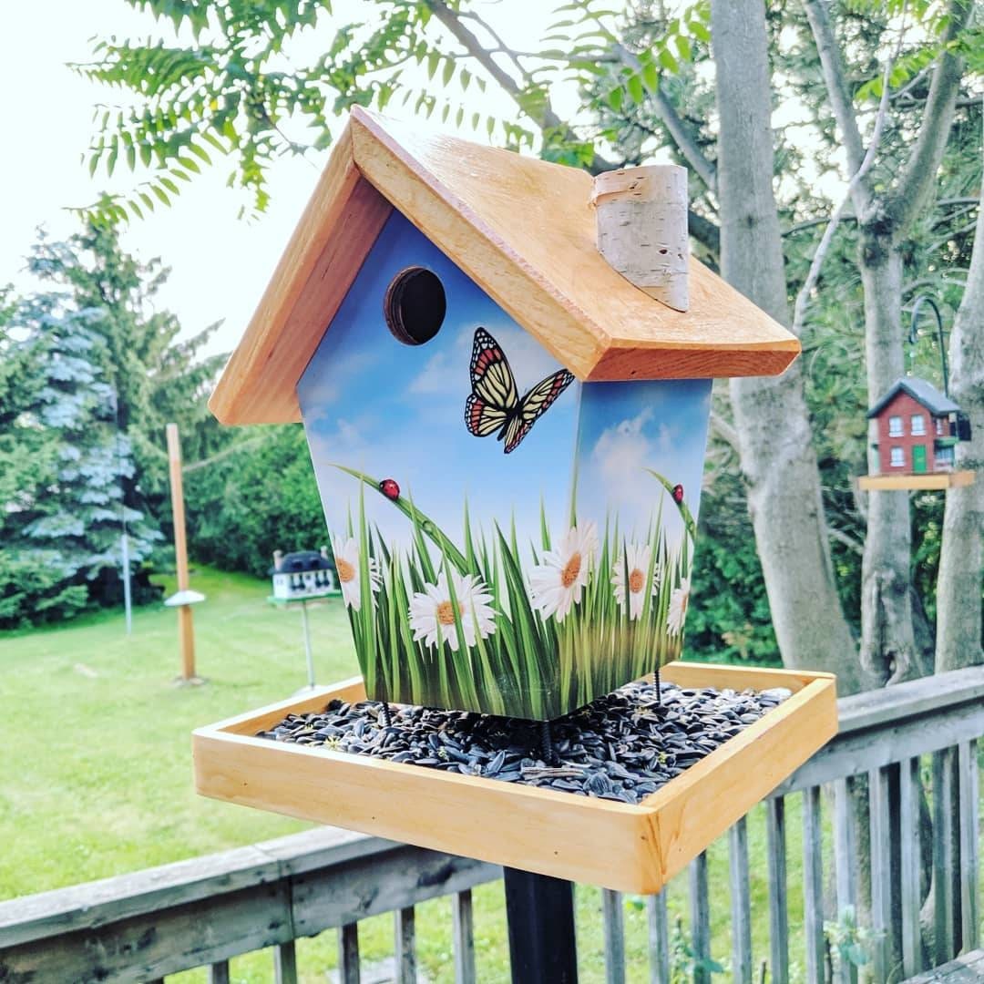 Butterfly & Ladybug Bird Feeder/Birdhouse