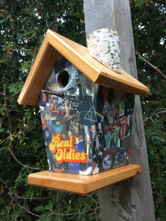 Real Oldies (Stained Roof) Birdhouse