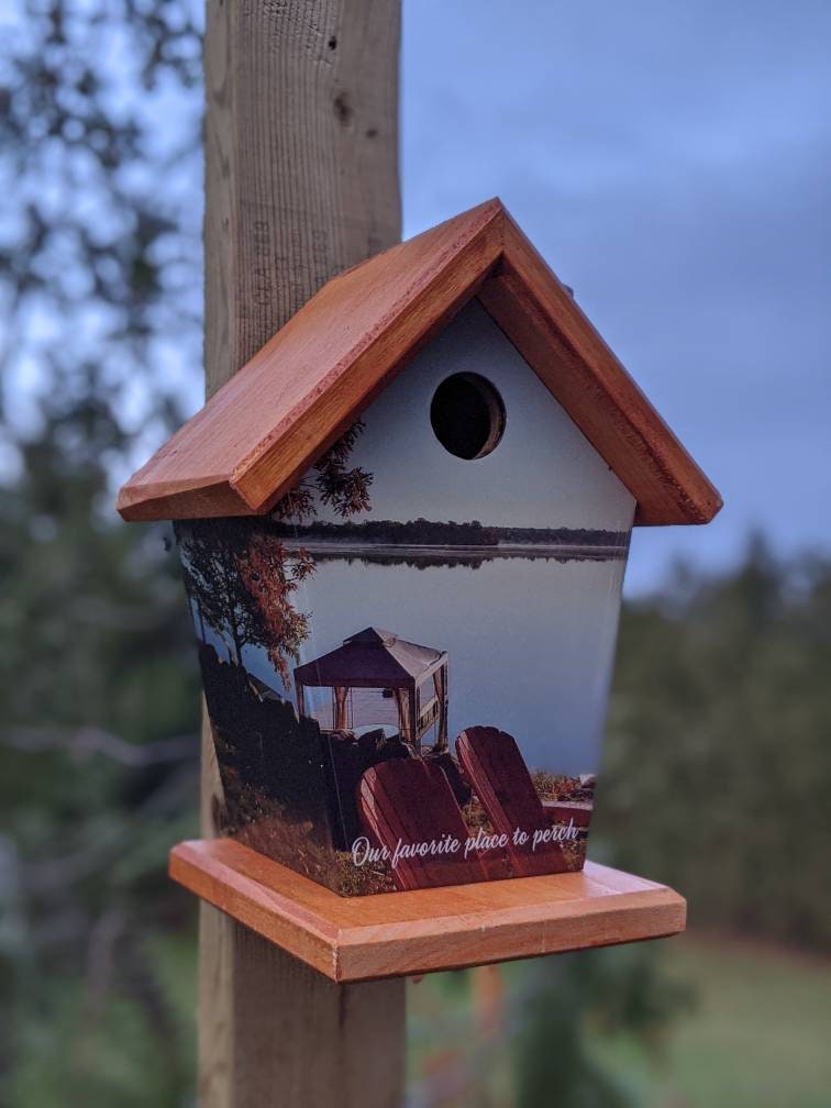 Our favorite place to perch! Birdhouse/Feeder