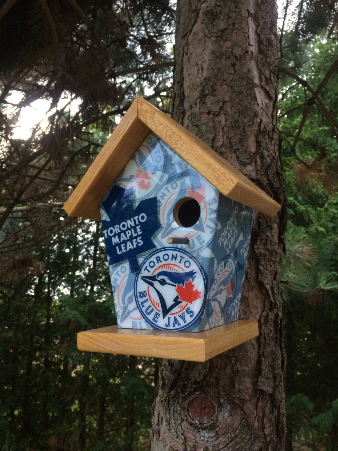 Toronto Fan Birdhouse/Feeder