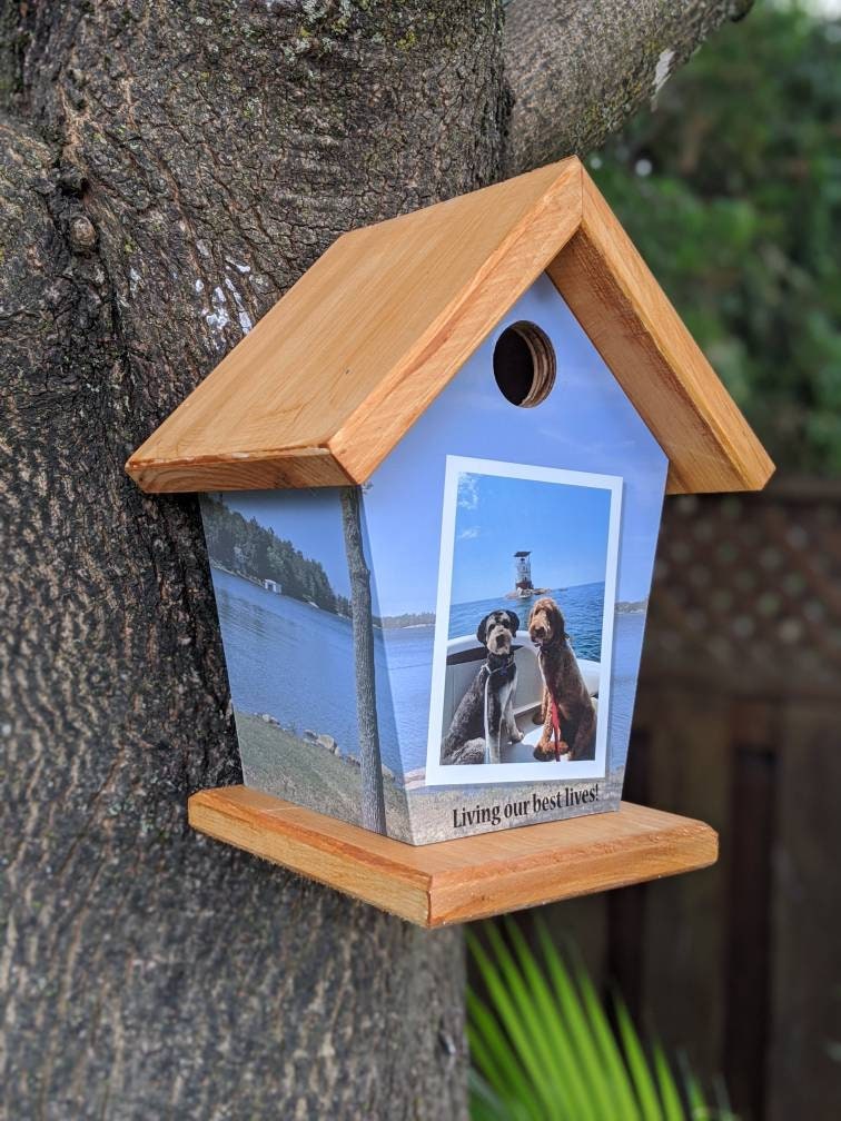 Personalized Birdhouse (Living our best lives)