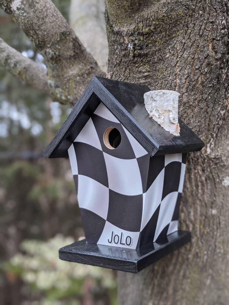 Checkered Birdhouse/Feeder