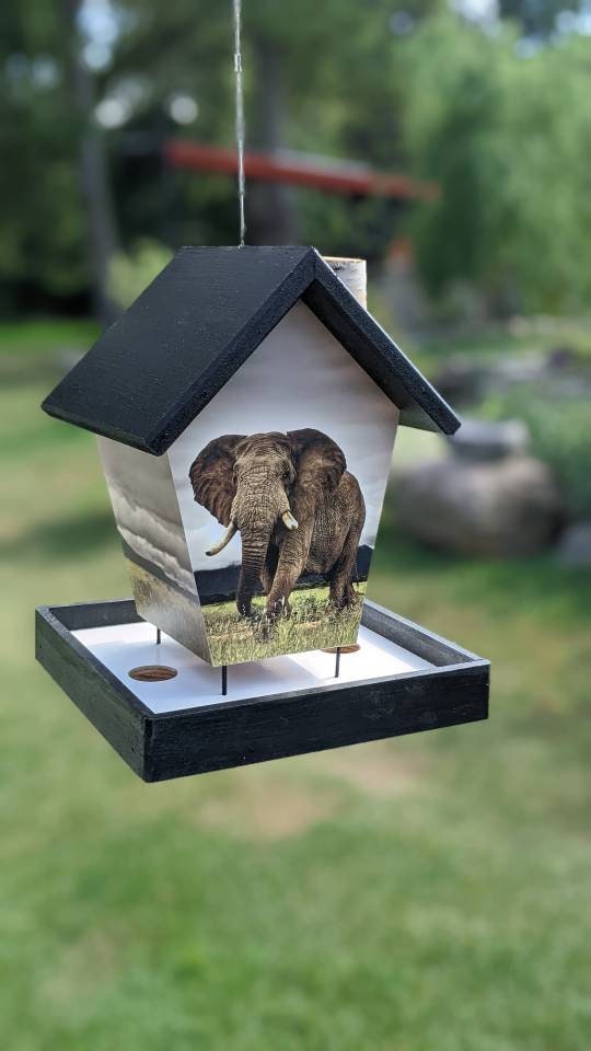 Elephant Bird Feeder/Birdhouse
