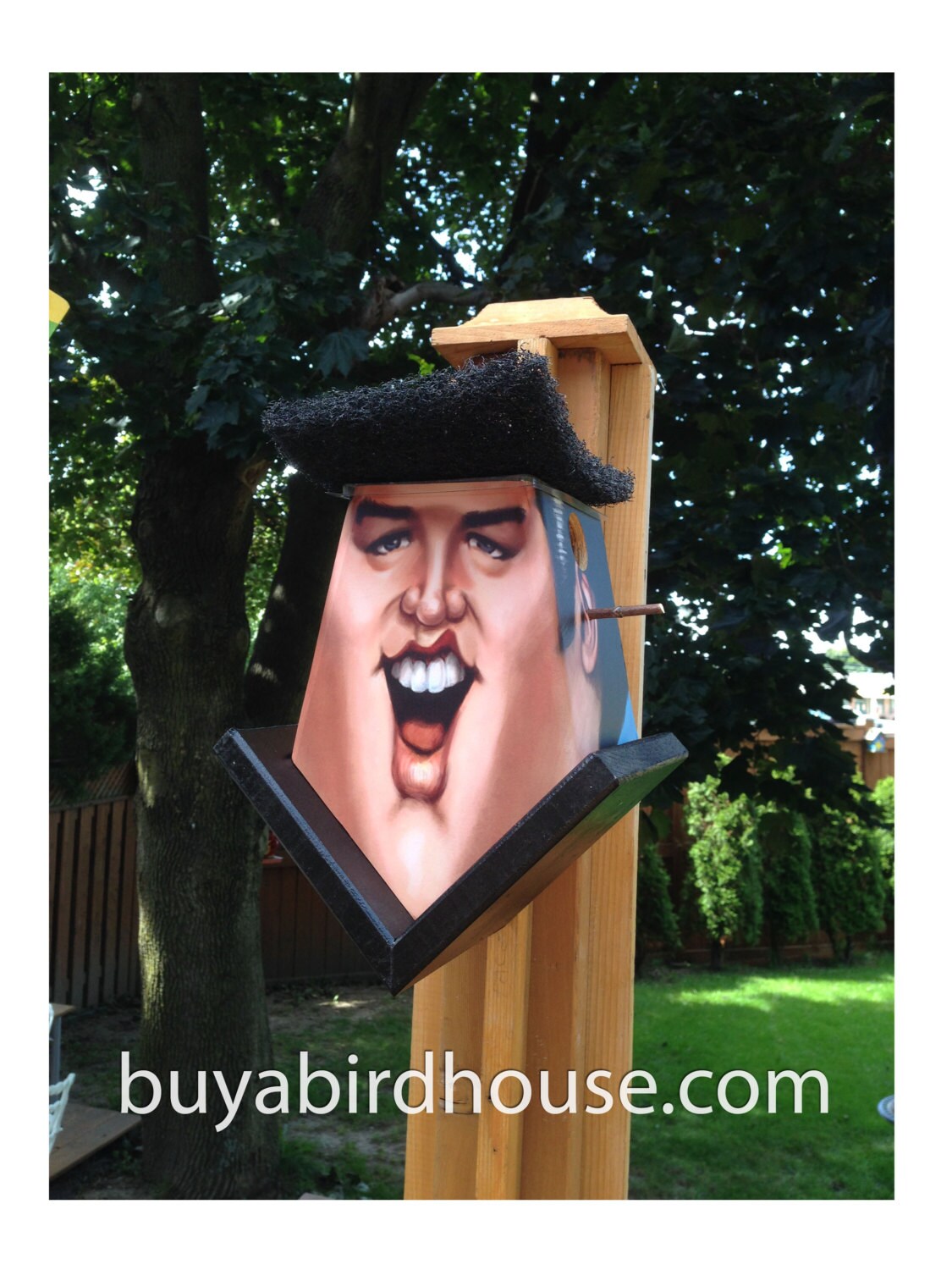 Elvis Presley (Hole in Ear) Birdhouse
