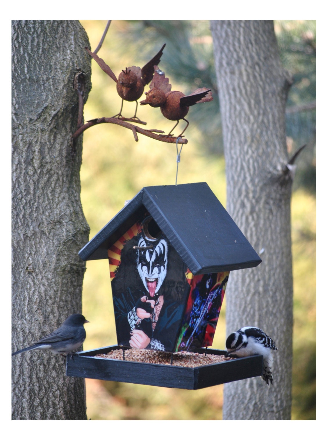 Kiss Bird Feeder Music