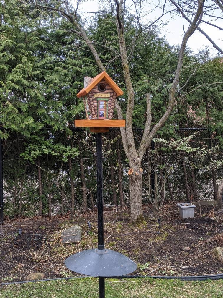 Personalized Log Home Bird Feeder/Birdhouse