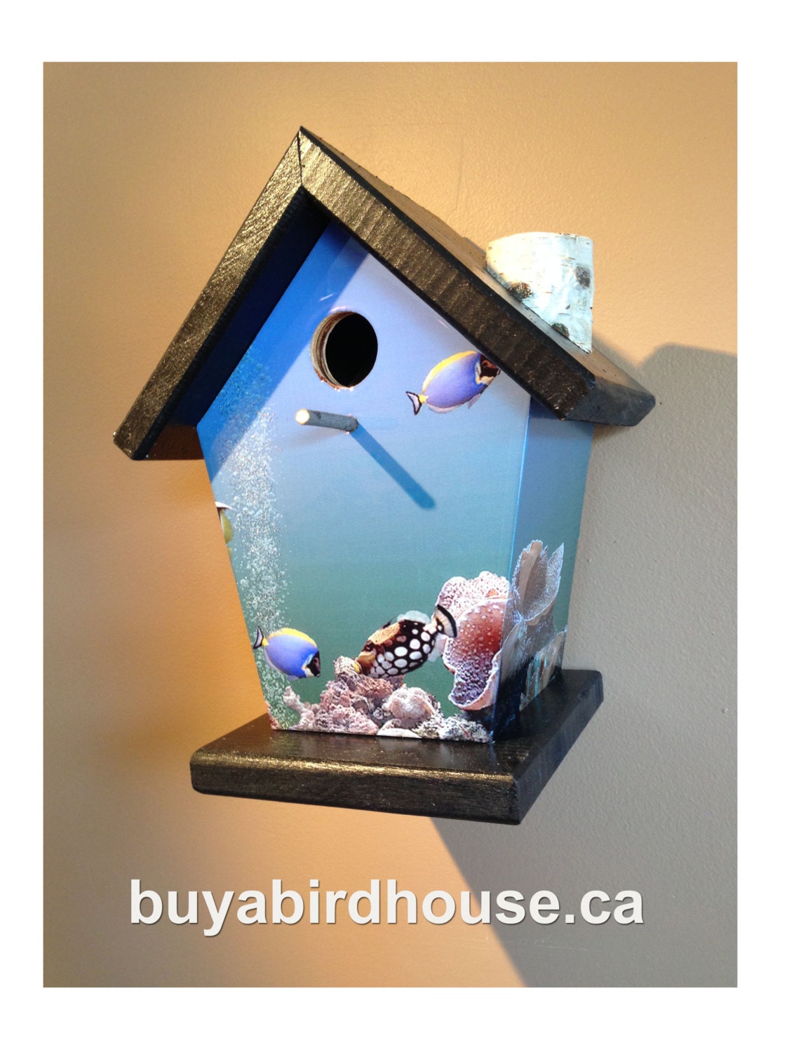 Tropical Fish Birdhouse/Feeder