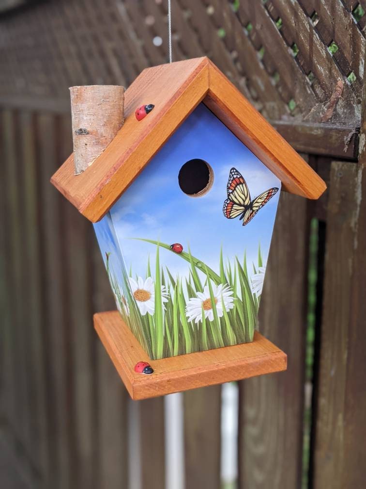 Butterfly and Ladybug Birdhouse/Feeder