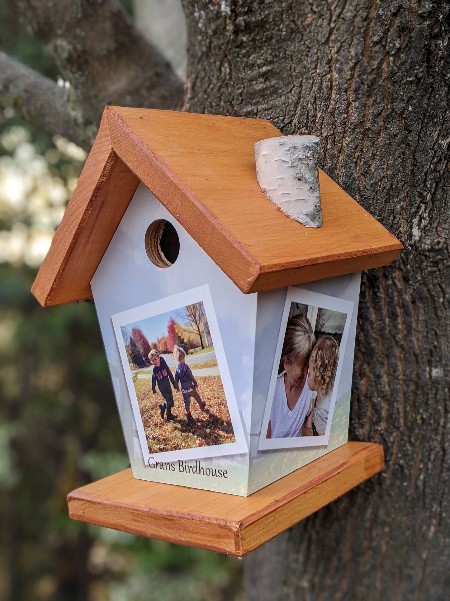 Personalized (3 Images) Birdhouse