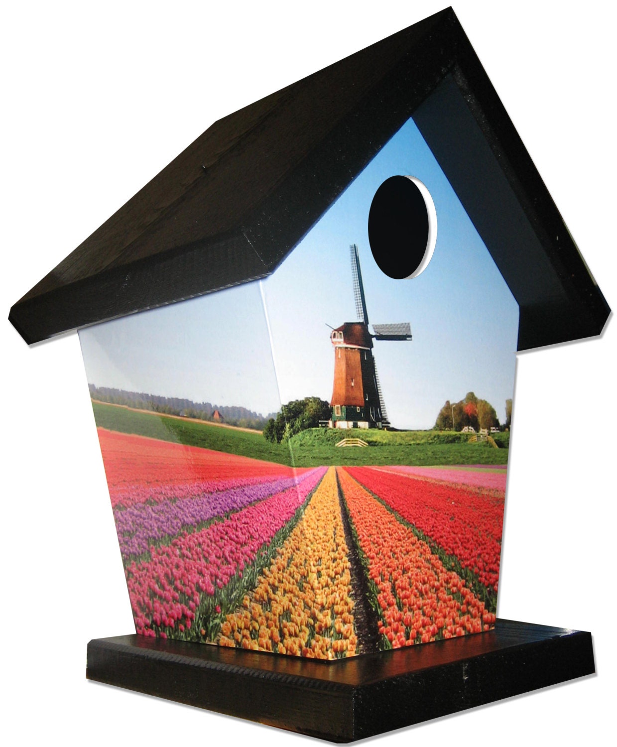 Windmill Birdhouse/Feeder