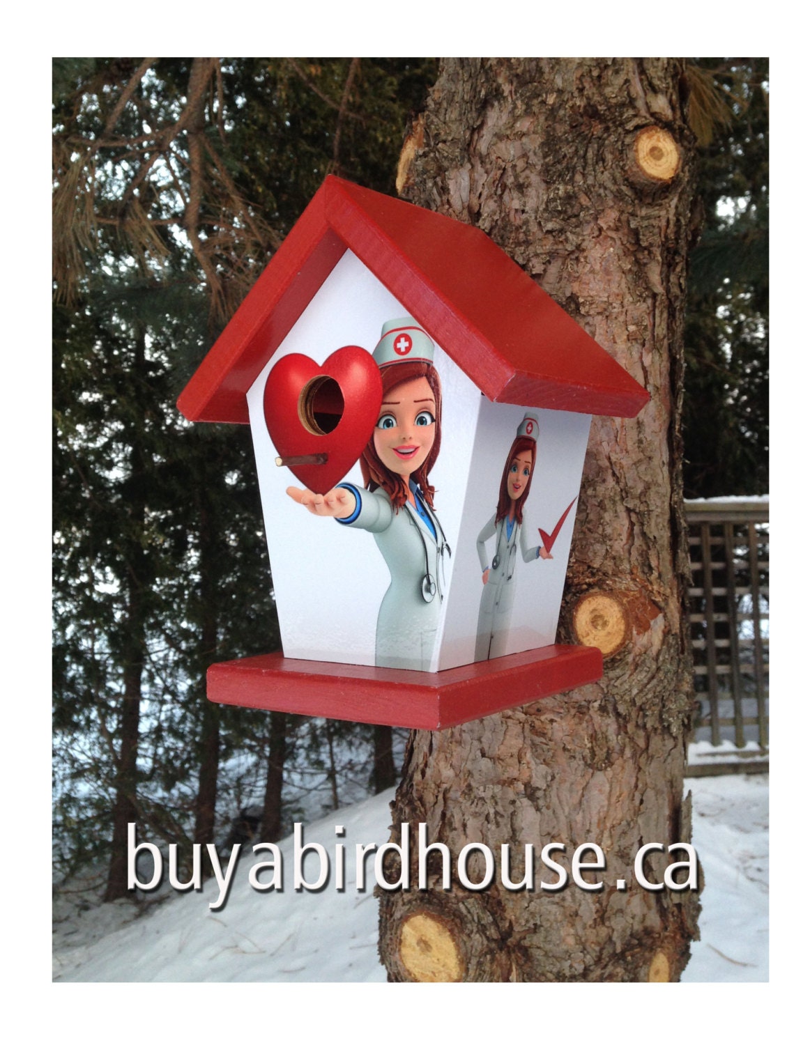 Nurse Theme Birdhouse