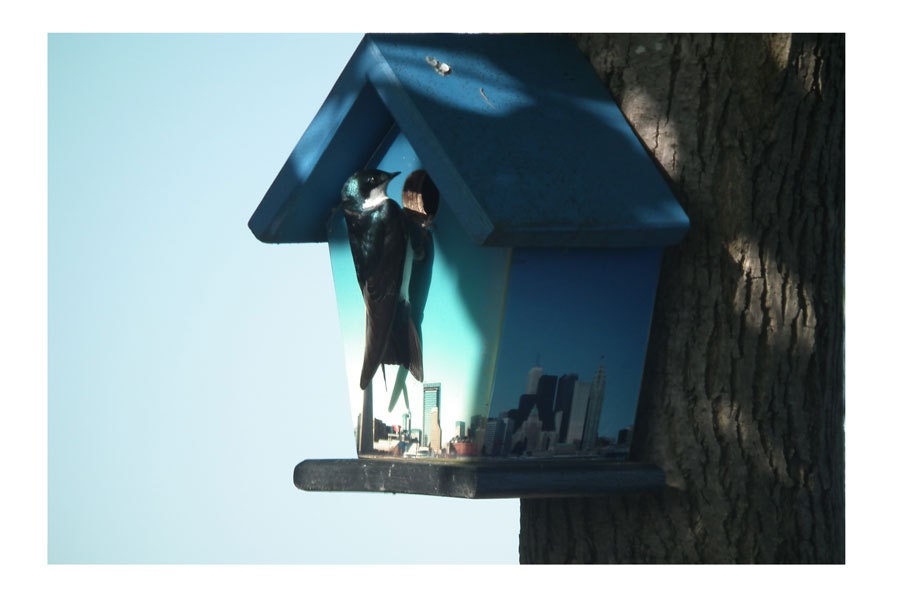 Toronto Sky Line Birdhouse