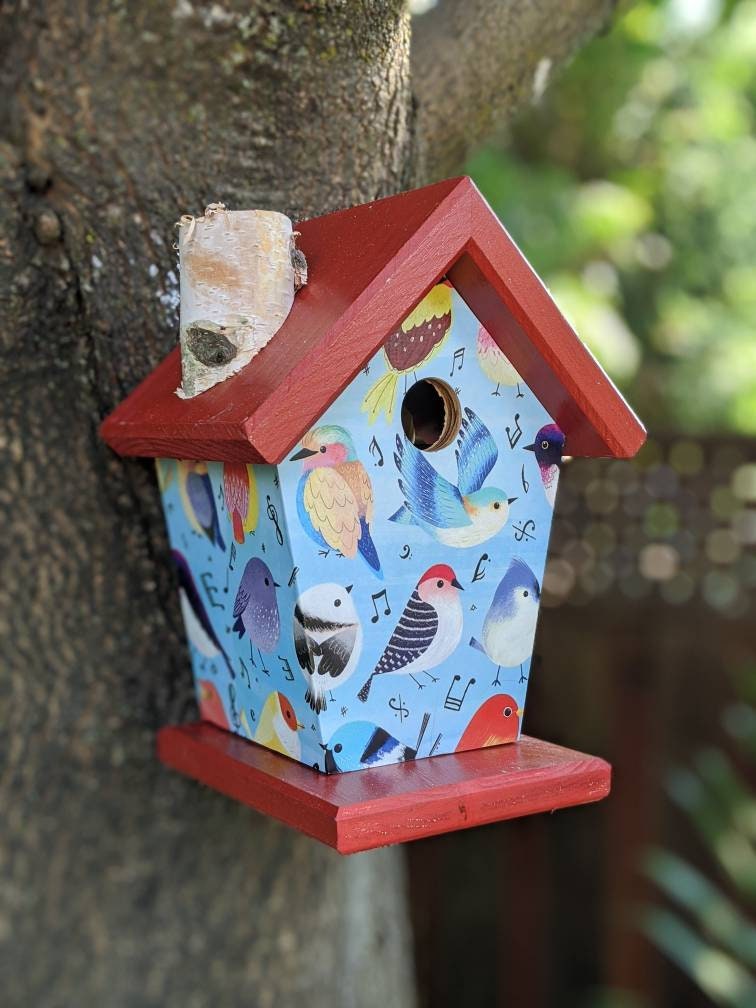 Songbirds (Blue Roof) Birdhouse/Feeder