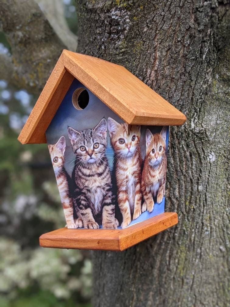 Kittens(Stained Roof) Birdhouse