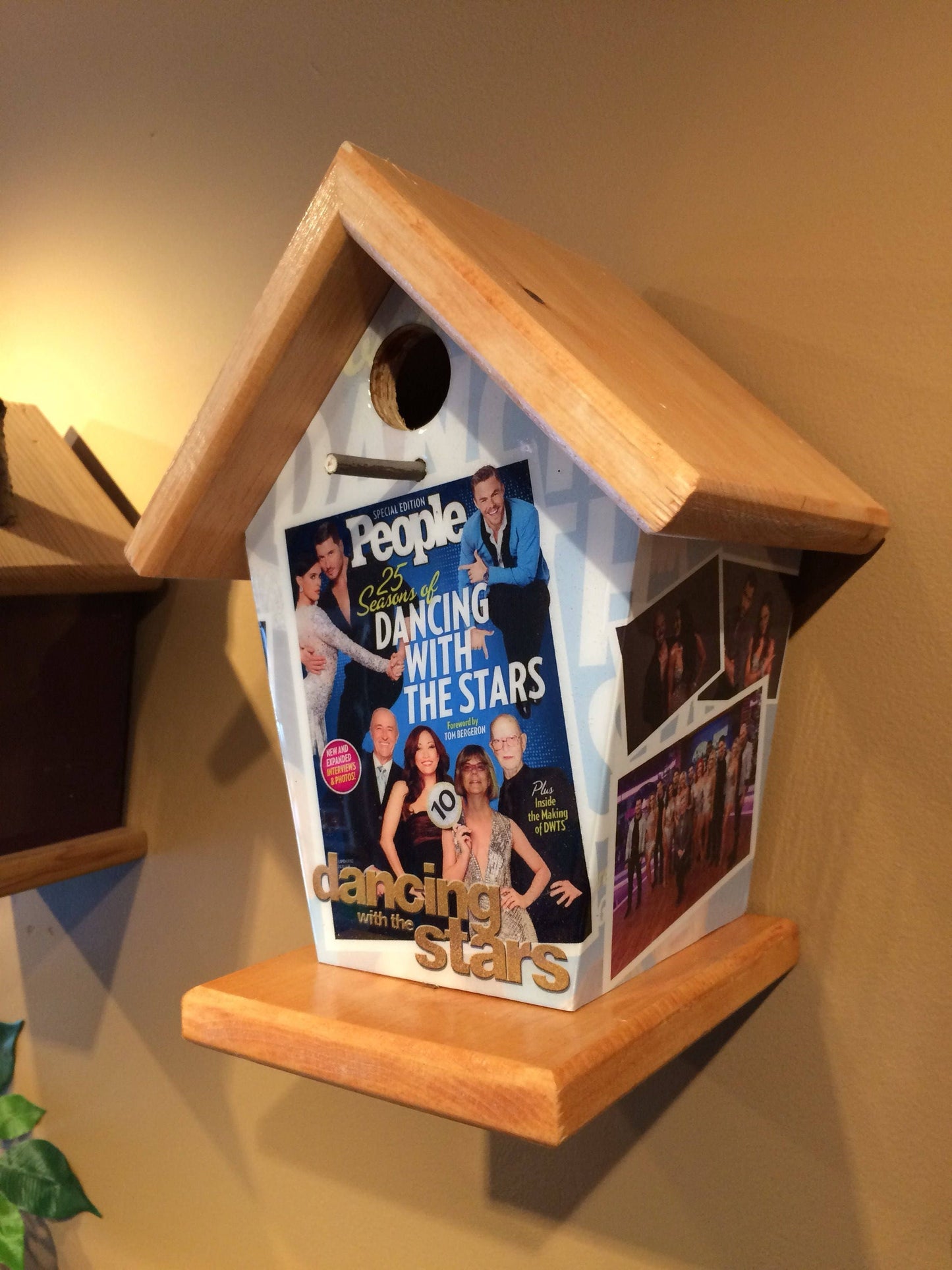 Dancing with the Stars Birdhouse/Feeder