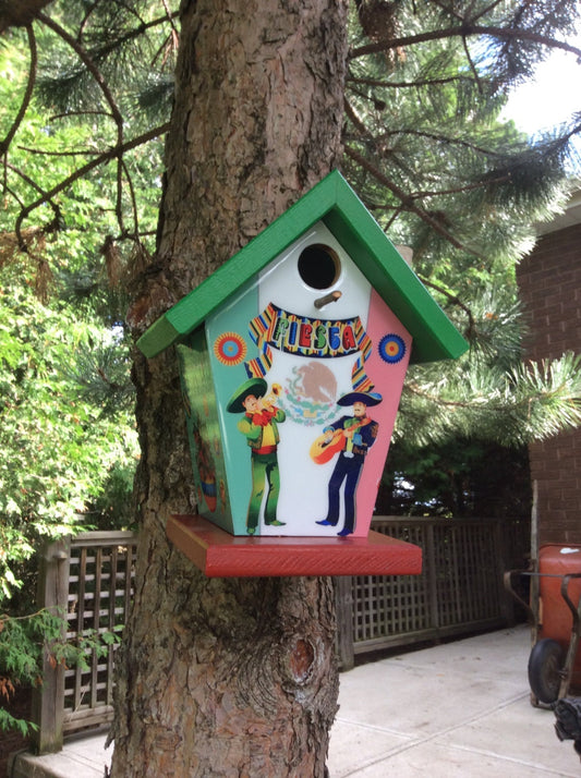 Mexico Fan Birdhouse