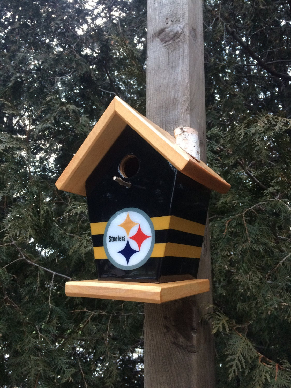 Pittsburgh Steeler Birdhouse/Feeder