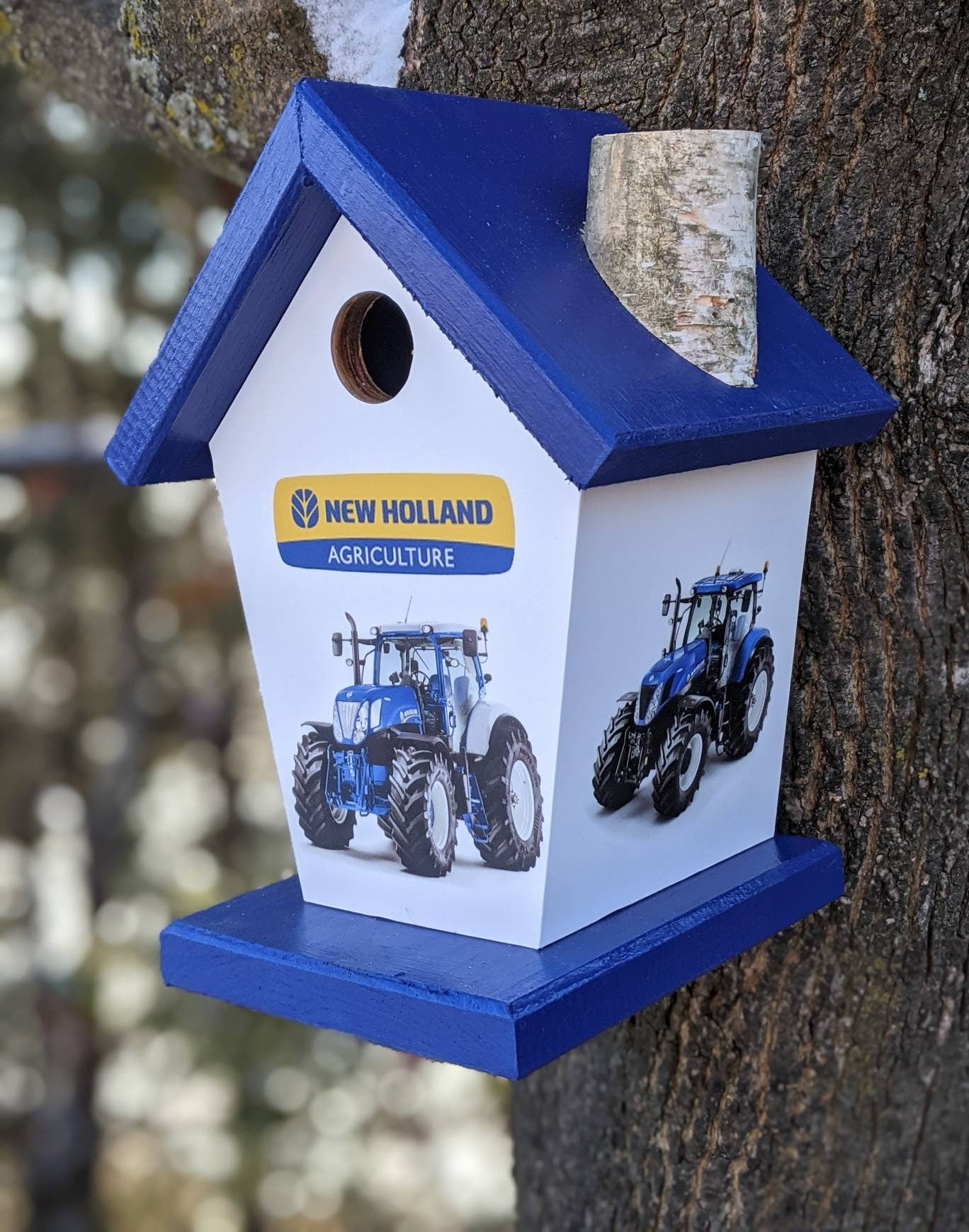 Tractor Birdhouse/Feeder