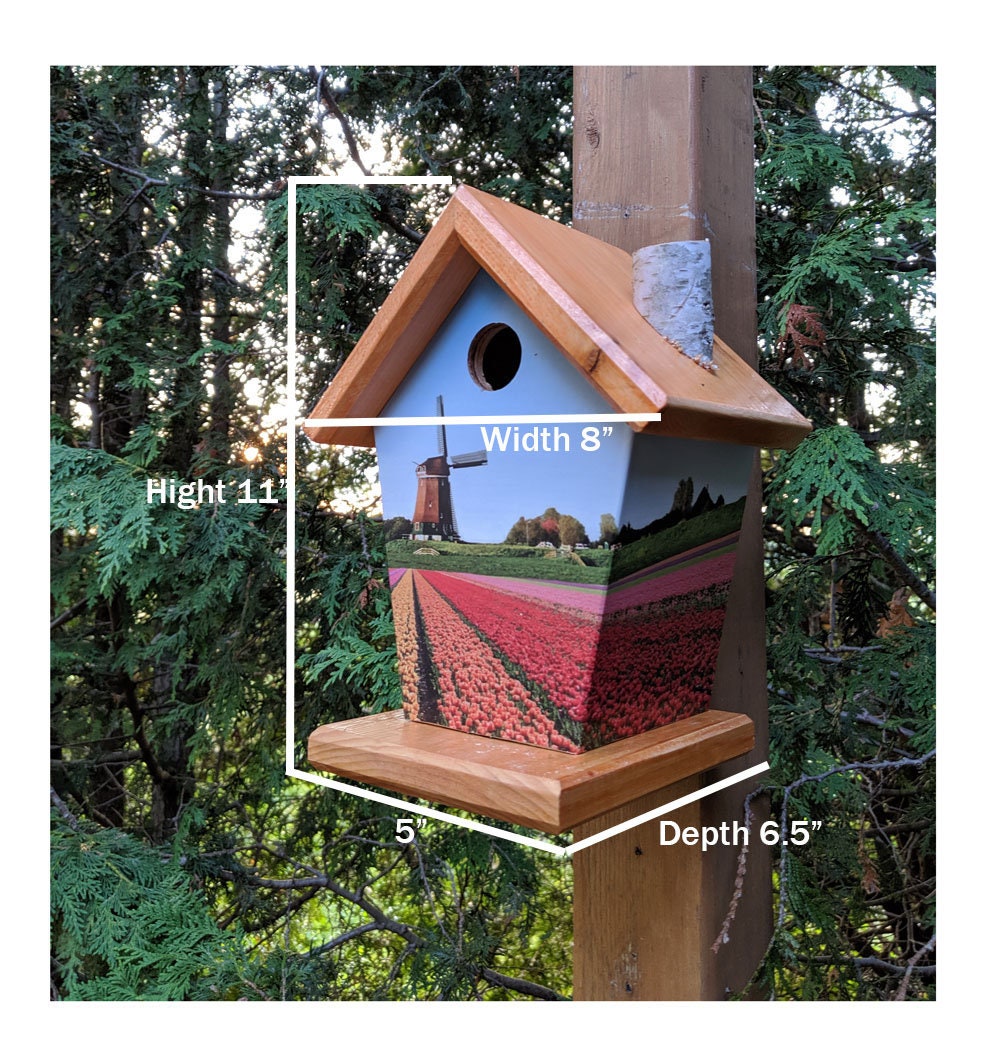 New Orleans Shot Gun Stained Roof Birdhouse