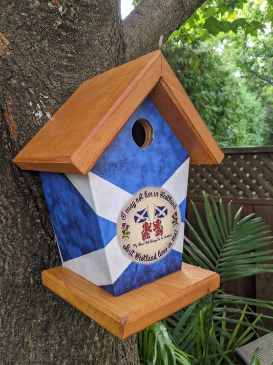 Scottish Birdhouse