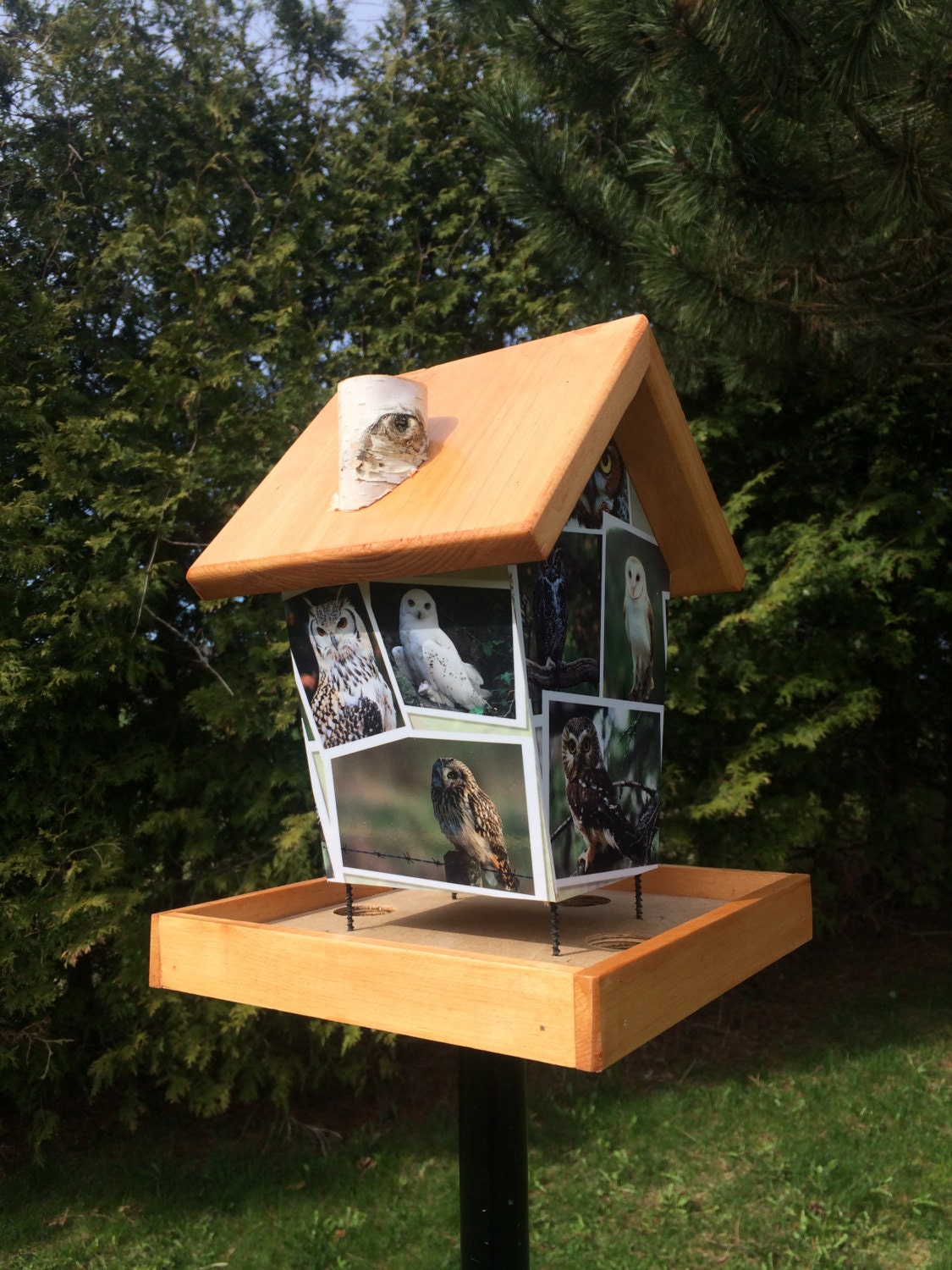 Owl Birdhouse Bird Feeder/Birdhouse