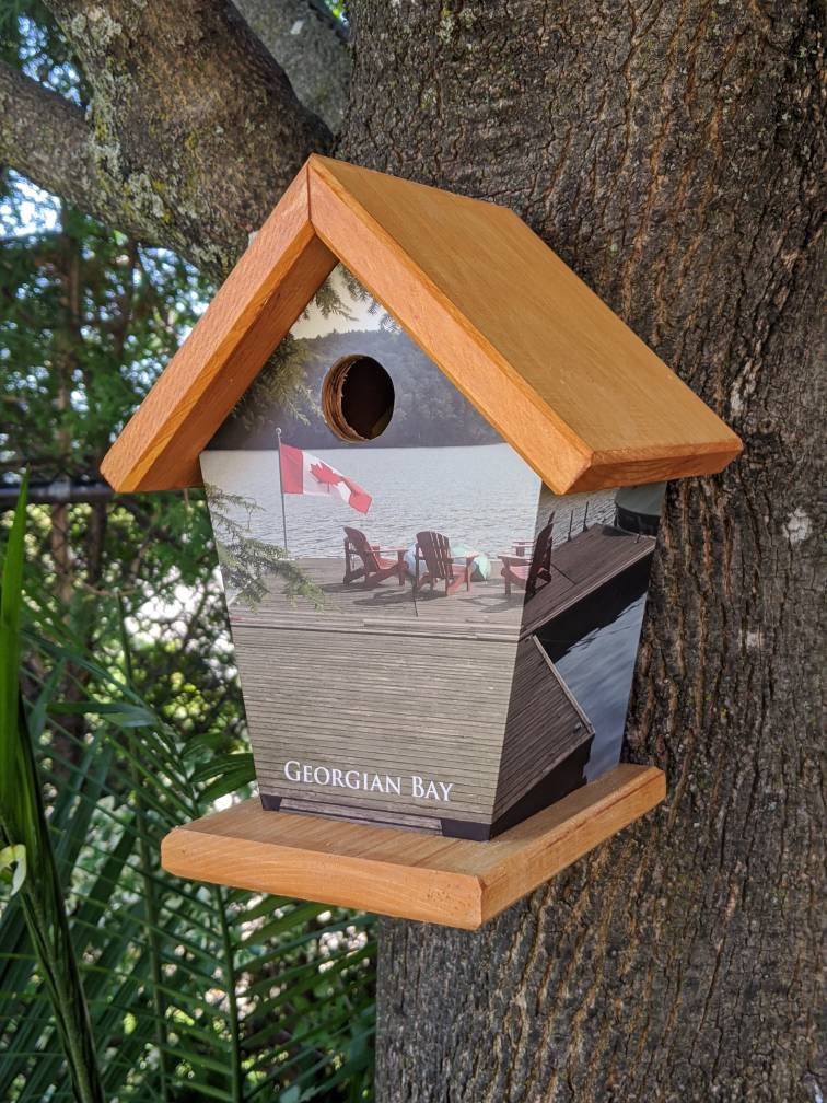 Georgian Bay Birdhouse/Feeder
