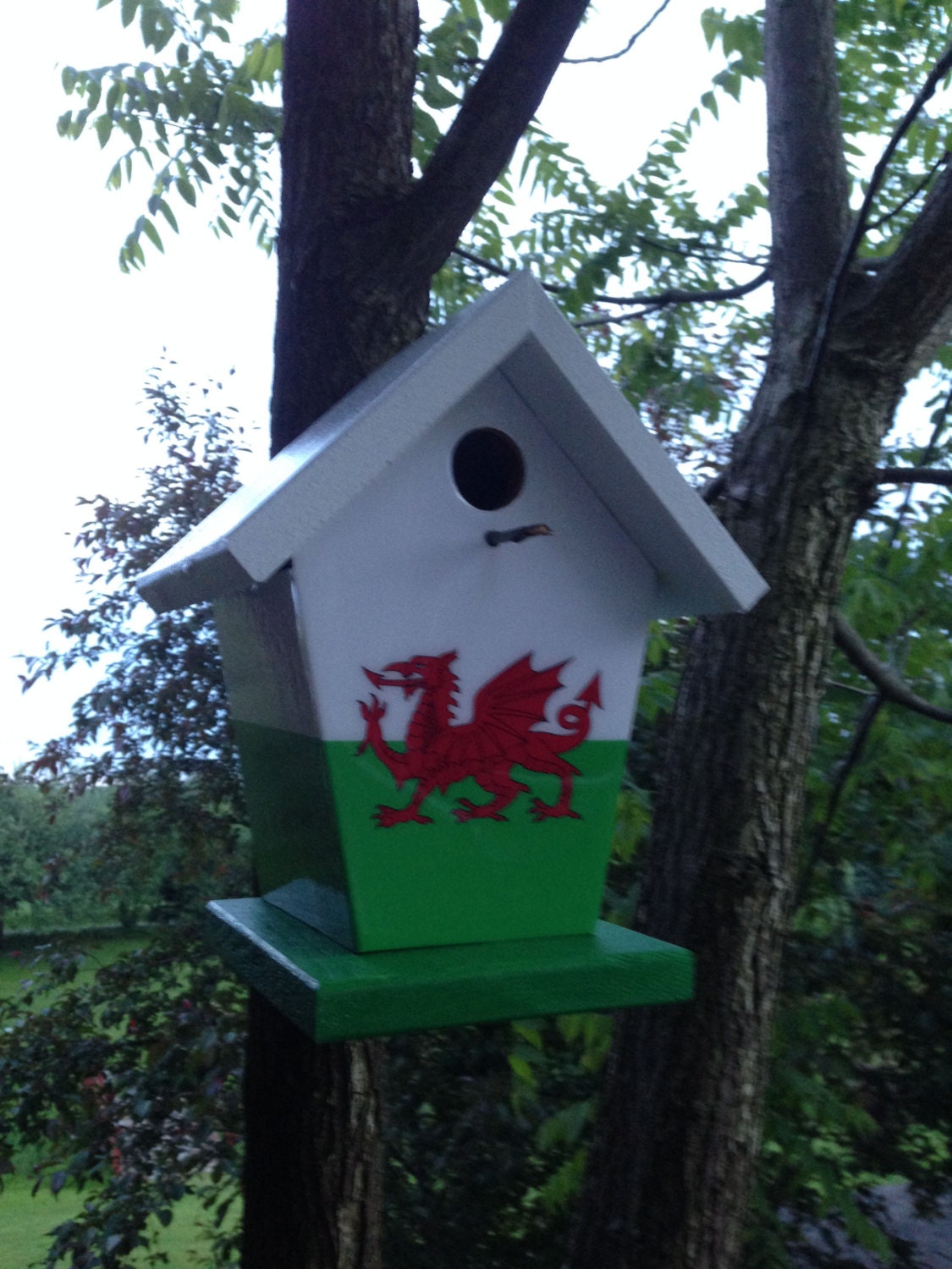 Welsh Flag Birdhouse/Feeder