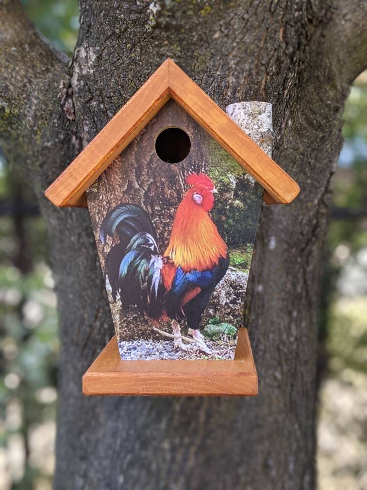 Rooster Birdhouse/Feeder