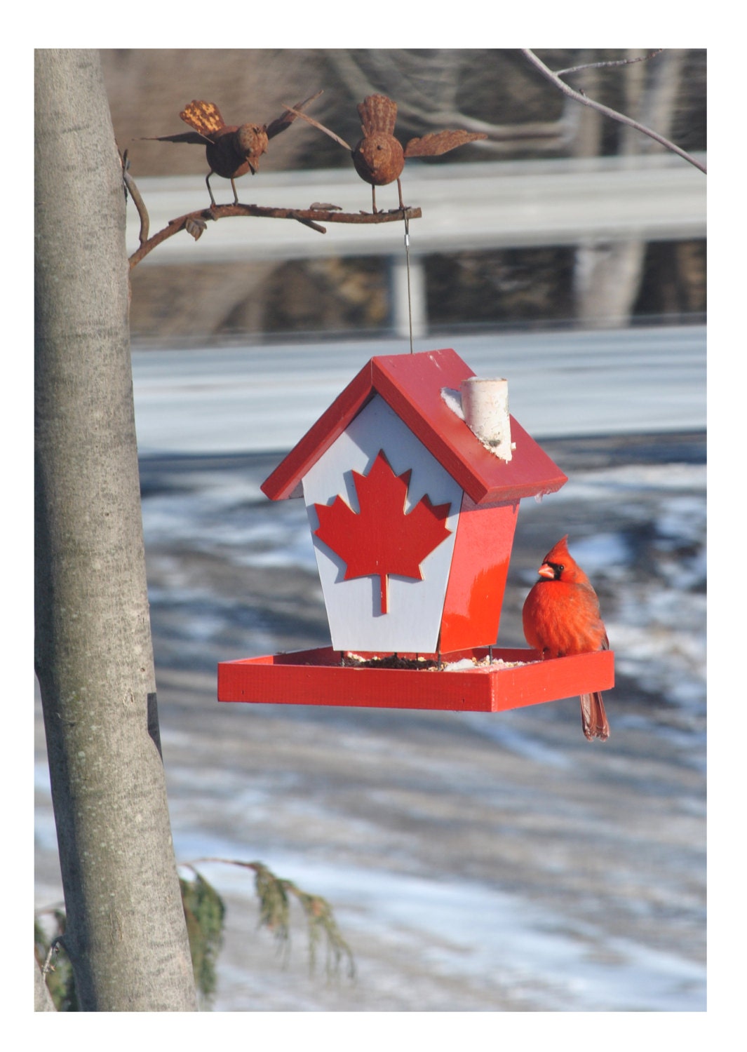 Canadian Bird Feeder/Birdhouse