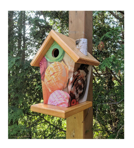 Ice Cream Birdhouse