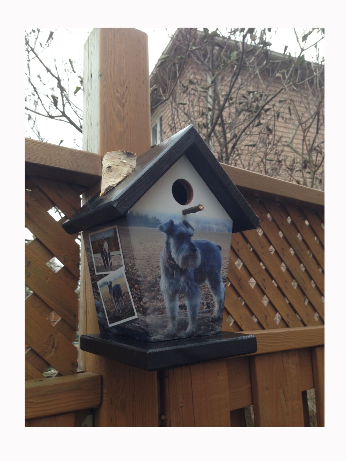 Your Pet Personalized Birdhouse