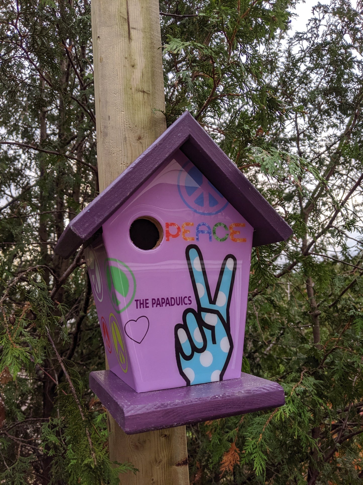 Peace Sign Birdhouse/Feeder