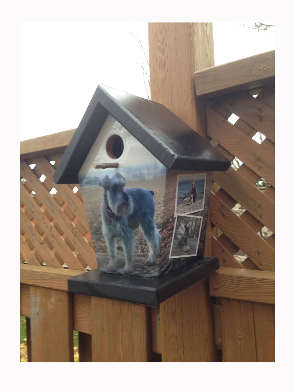 Your Pet Personalized Birdhouse