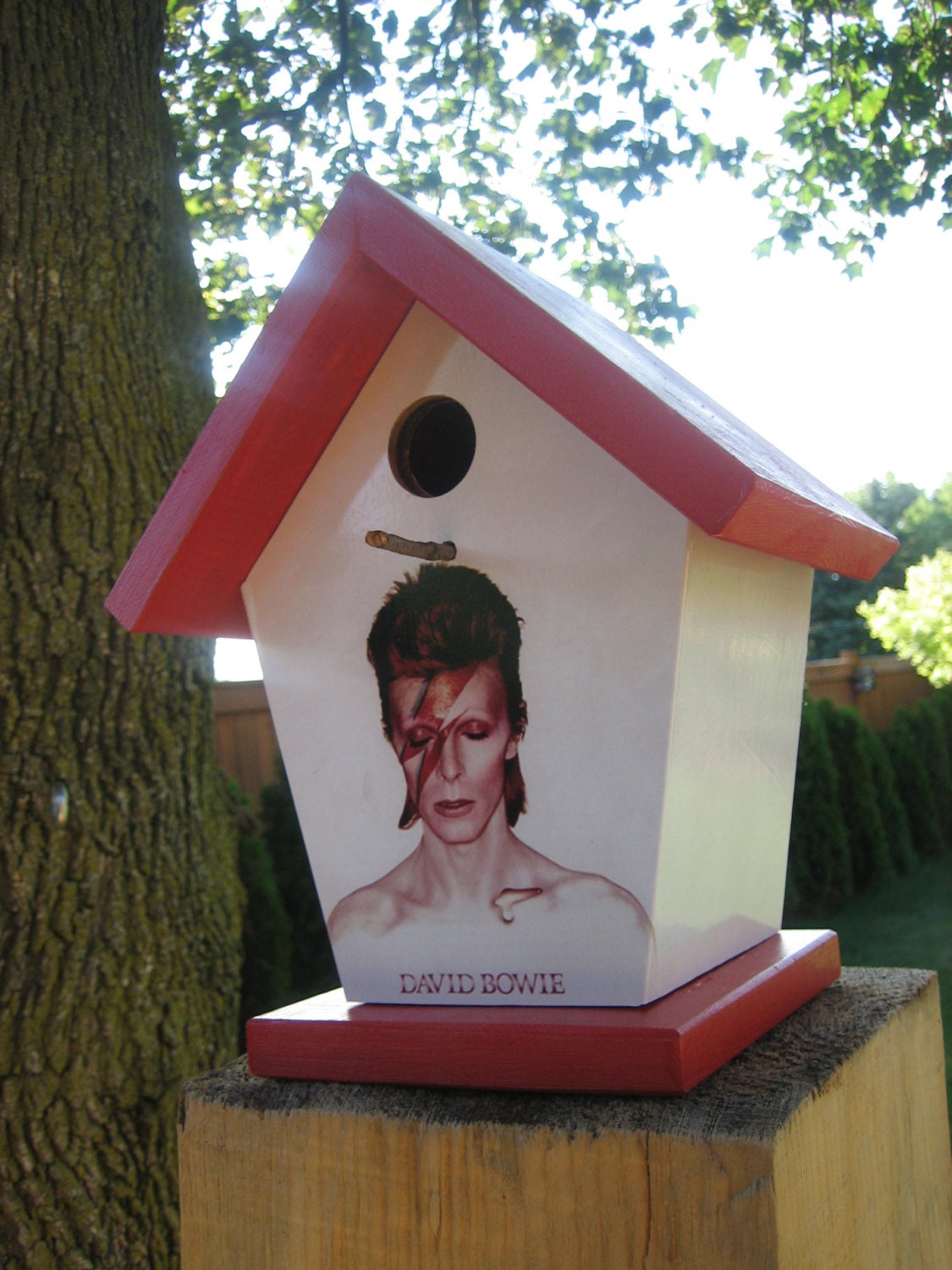 David Bowie Birdhouse/Feeder